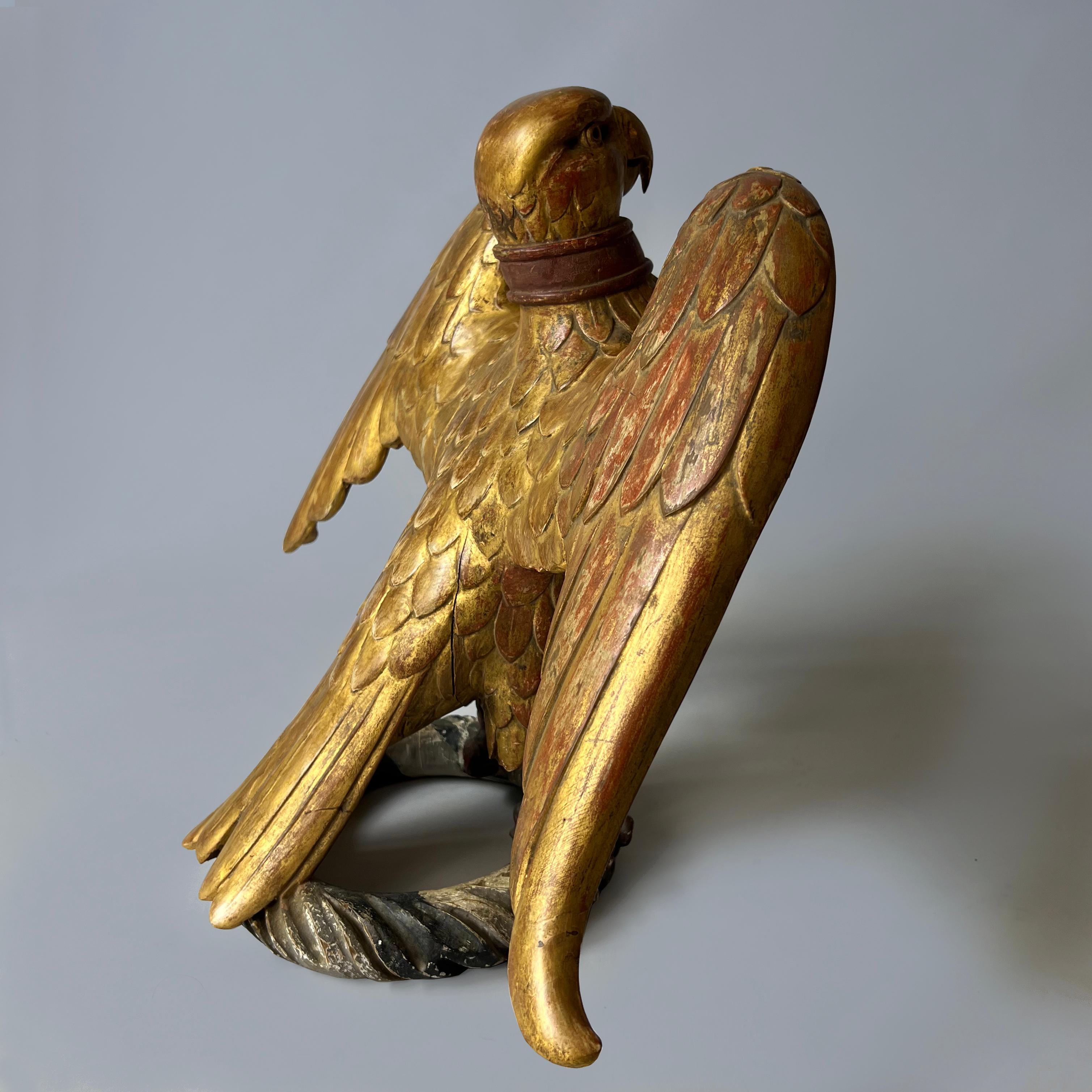 A French 19th Century Giltwood Eagle For Sale 1