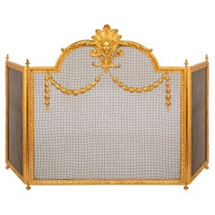 Antique A French 19th century Louis XVI st. Ormolu fire screen