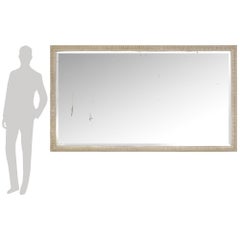 A French 19th century Louis XVI st. patinated Wood mirror