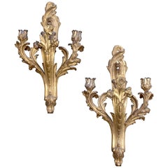 French 19th Century Pair of Louis XV Style Sconces