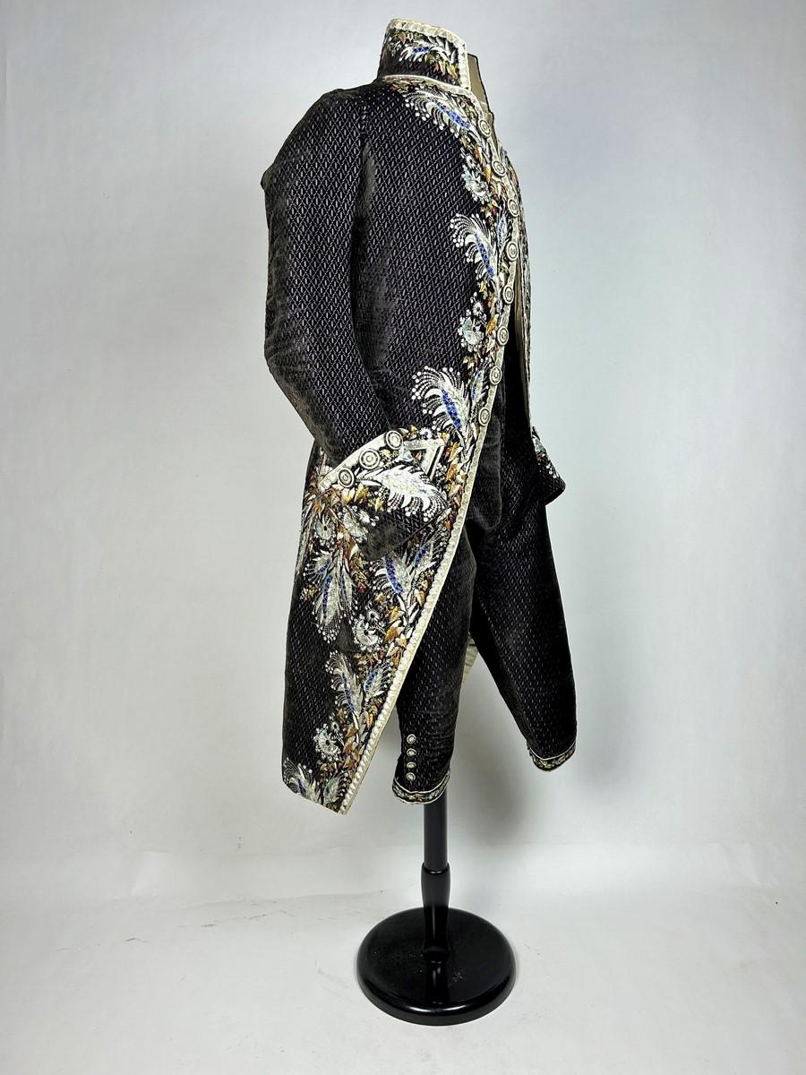Abito e pantaloni da cerimonia della corte francese con una prestigiosa provenienza, CIRCA 1810 in vendita 7