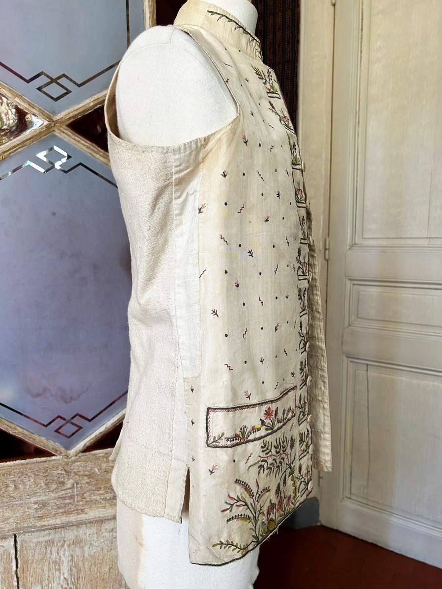 A French court waistcoat in embroidered taffeta with exotic decoration C. 1785 For Sale 8