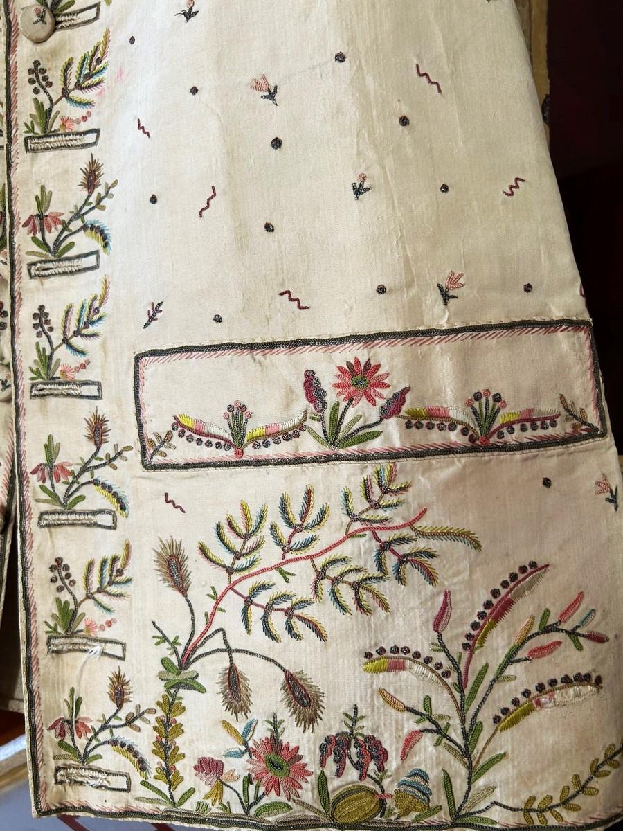 A French court waistcoat in embroidered taffeta with exotic decoration C. 1785 For Sale 1