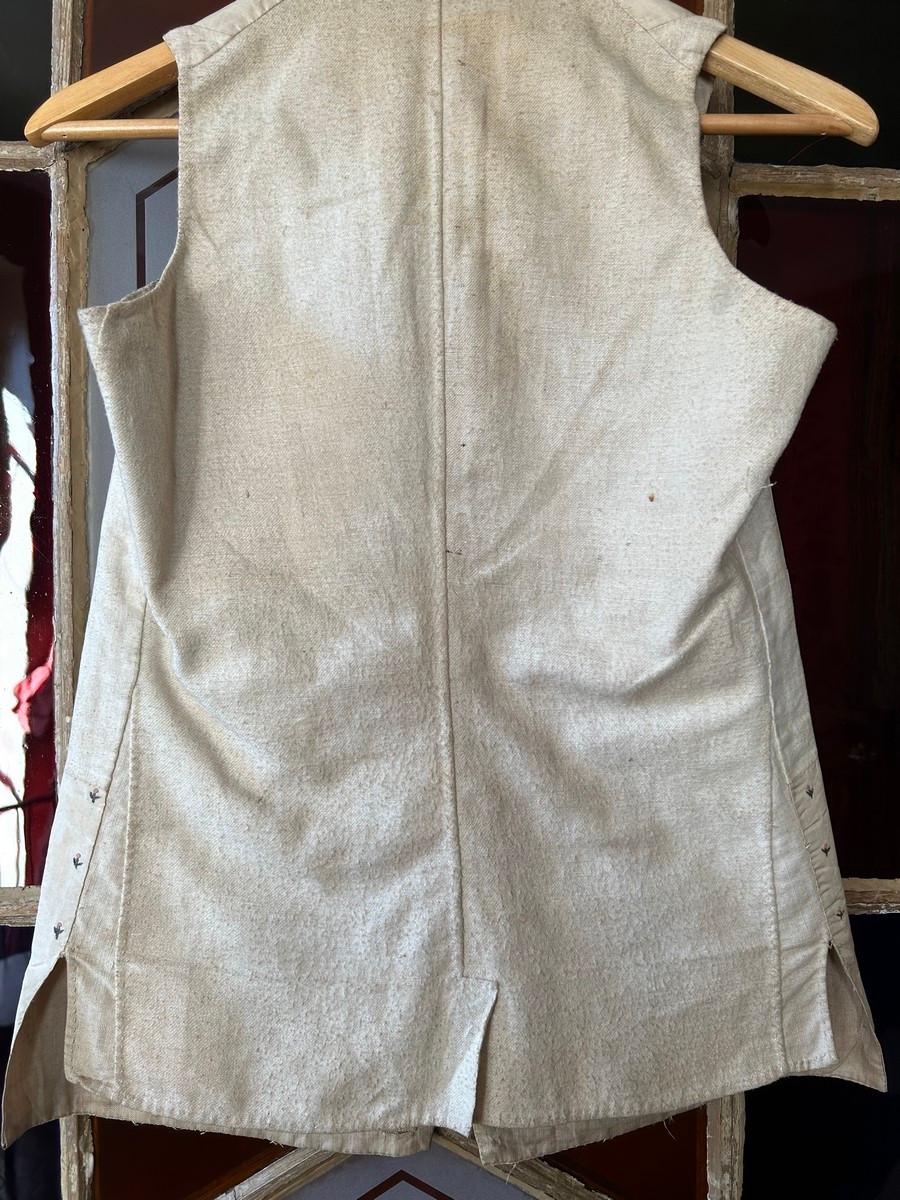 A French court waistcoat in embroidered taffeta with exotic decoration C. 1785 For Sale 2