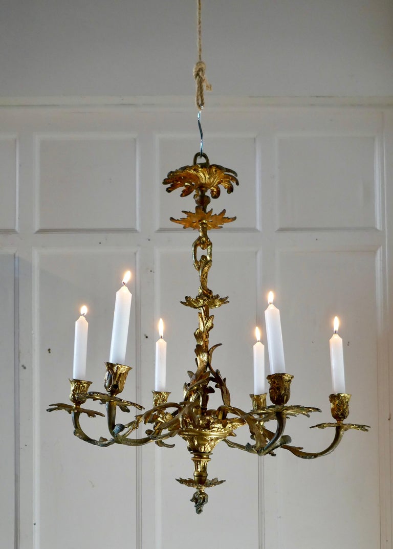 French Gilded Brass 6 Branch Rococo Chandelier 'Candelier' at 1stDibs