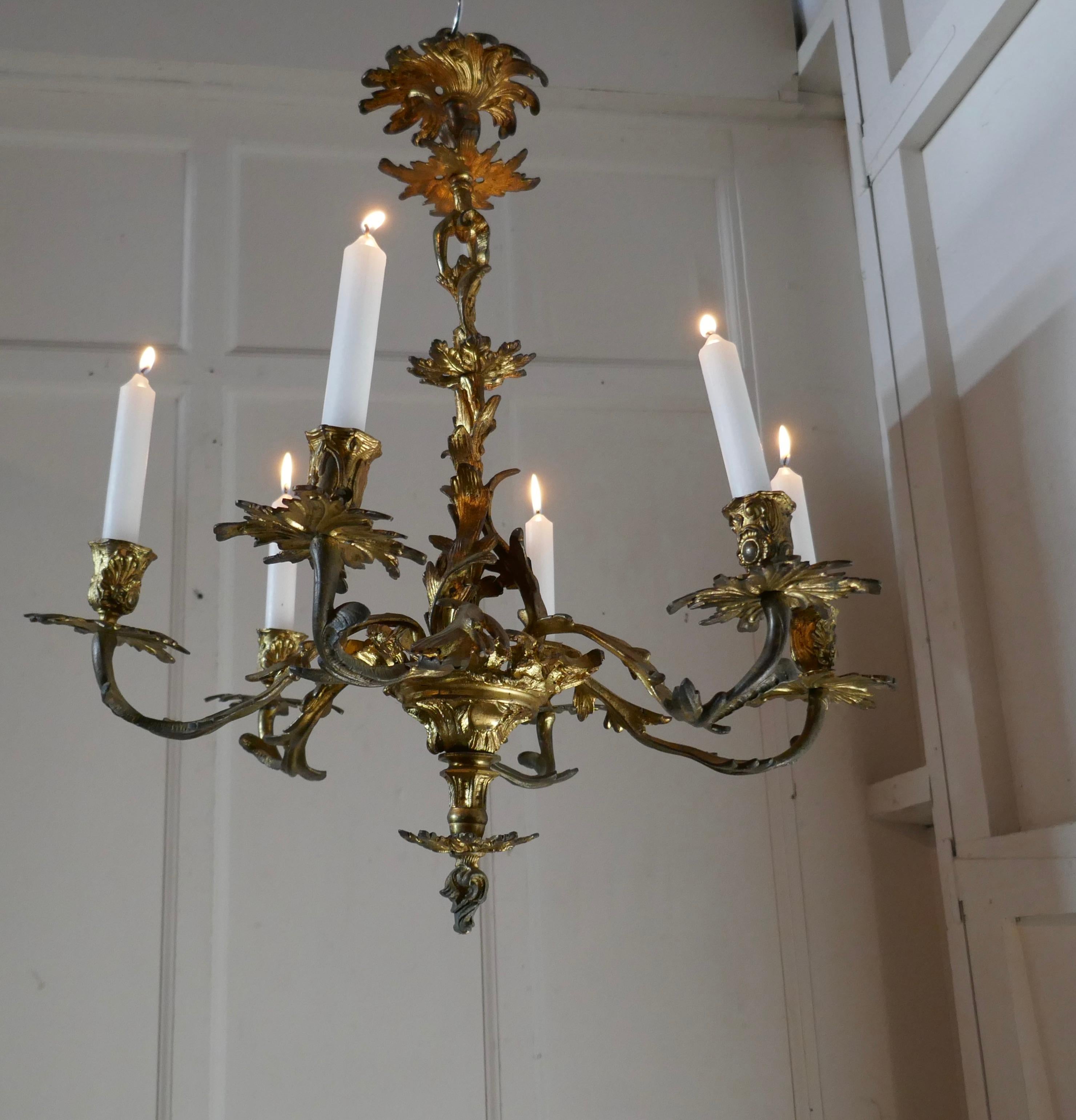 French Gilded Brass 6 Branch Rococo Chandelier 'Candelier' at 1stDibs