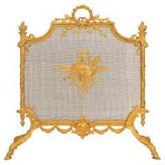 Antique A French late 19th century Louis XVI st. Ormolu fire screen