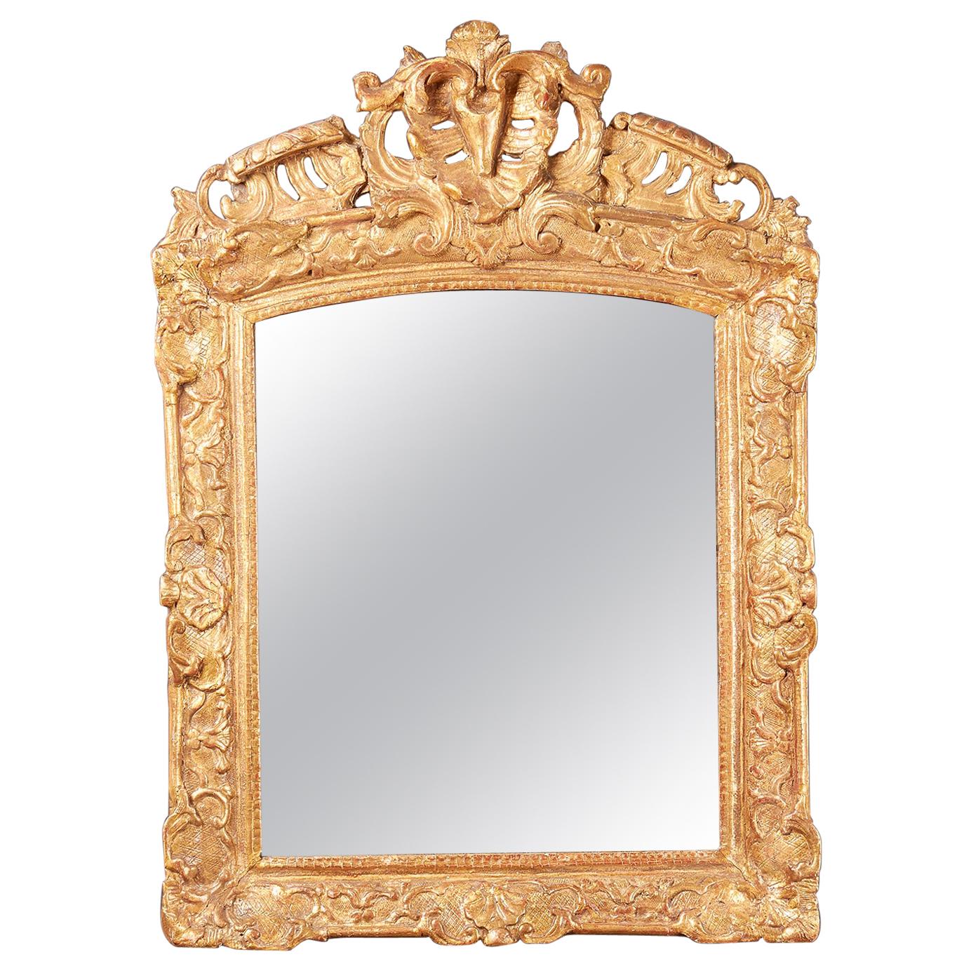 French 19th Century Louis XIV Style Giltwood Mirror