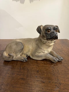 A French Terracotta Pug, 19th Century