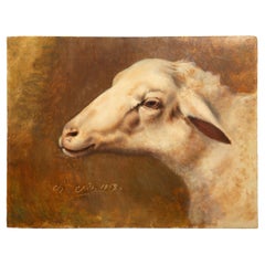 A Gentle Gaze: 19th C French Painting of a Sheeps Head Signed 1868