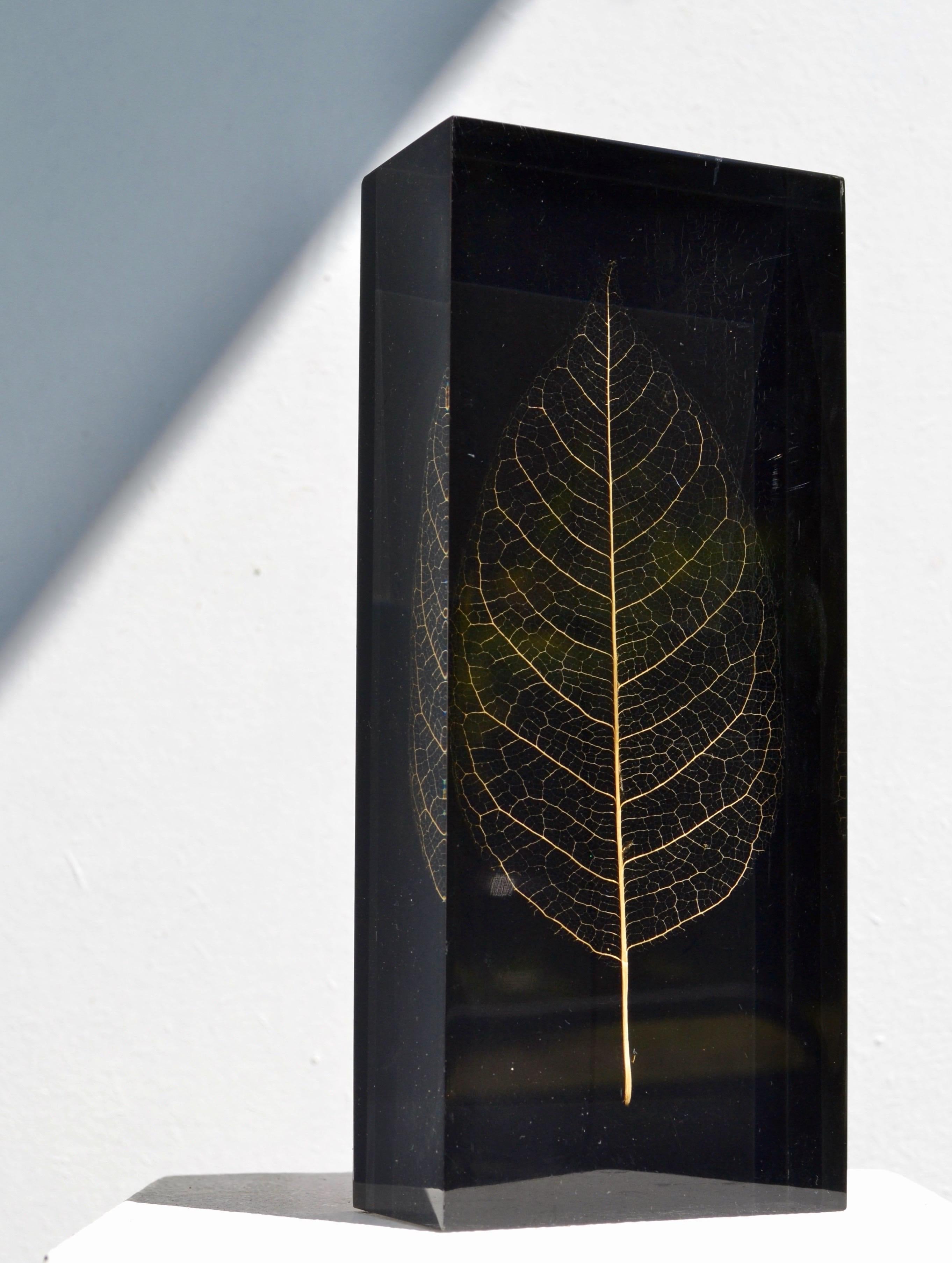A Geometric Resin Paperweight with Gilded Leaf Inclusion – France, 1970s For Sale 1