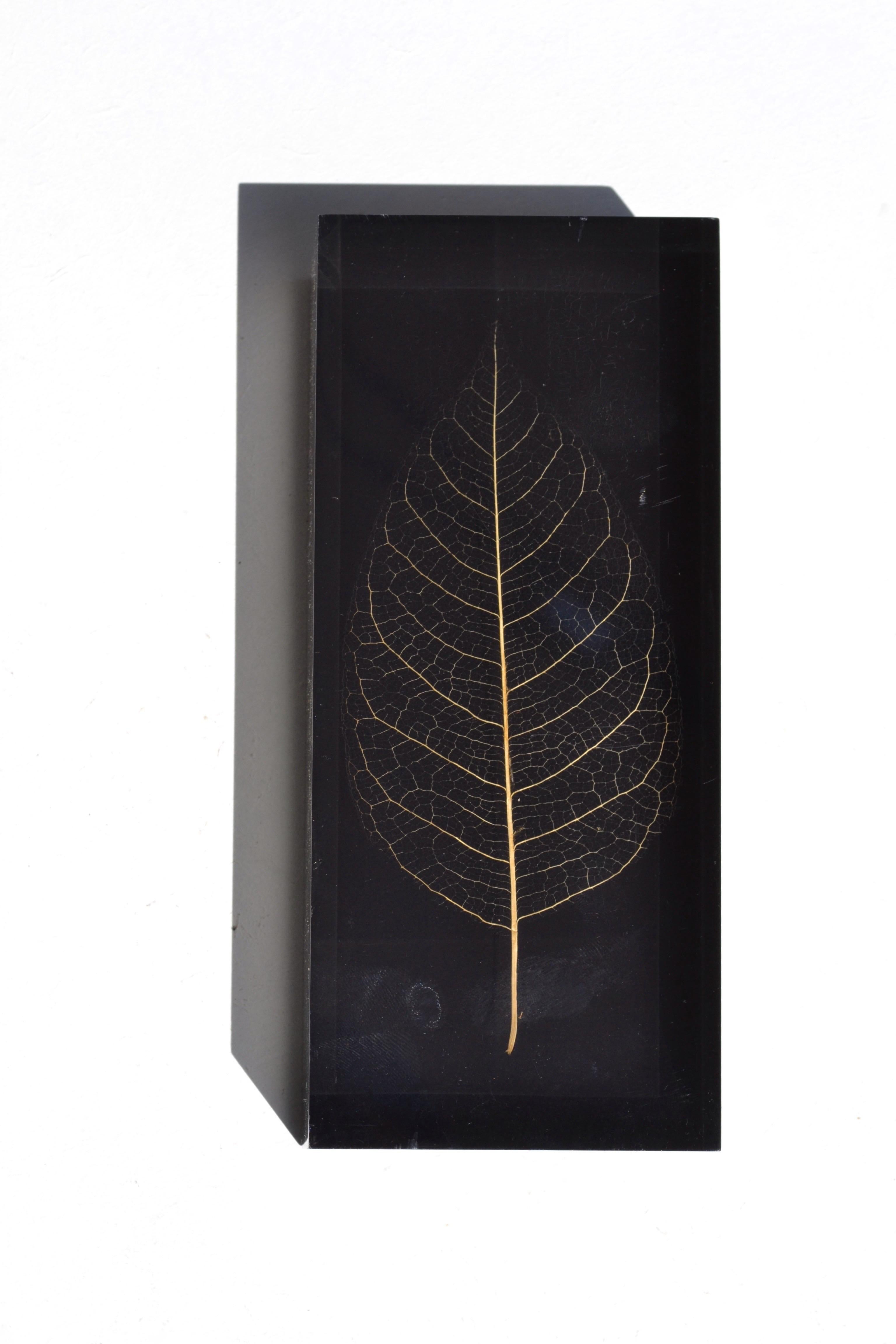 A Geometric Resin Paperweight with Gilded Leaf Inclusion – France, 1970s For Sale 2