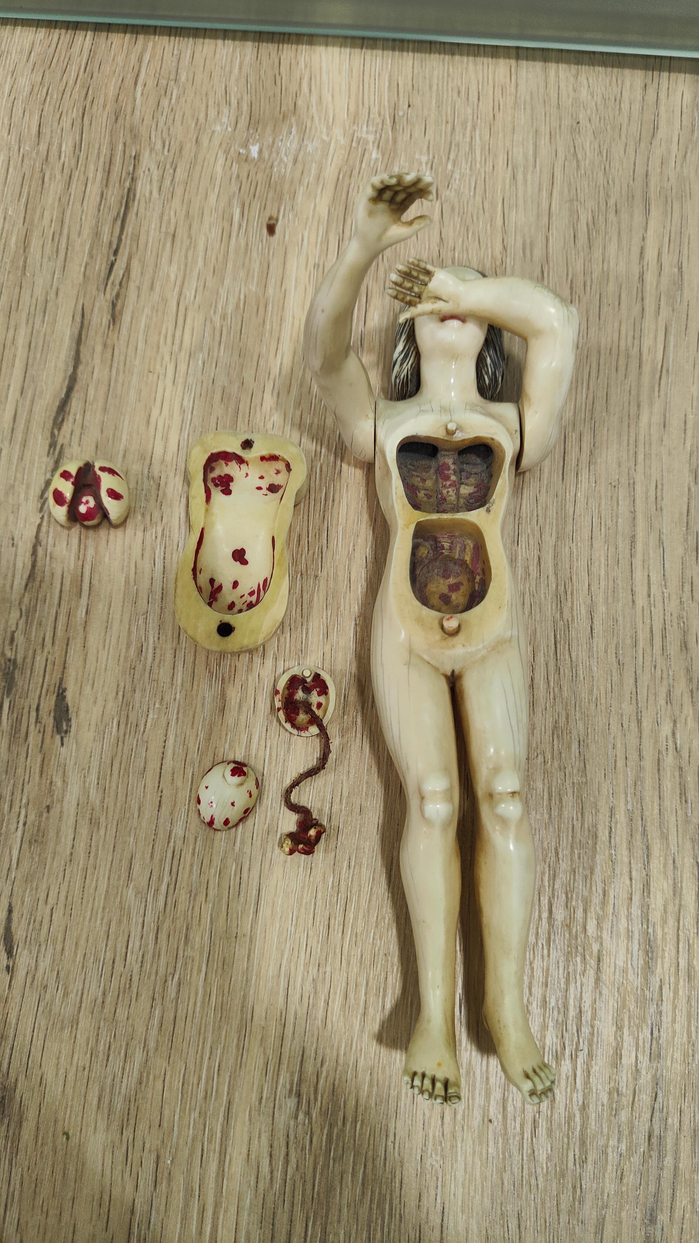A GERMAN  ANATOMICAL MODEL OF a PREGNANT WOMAN STEPHEN ZICK For Sale 12