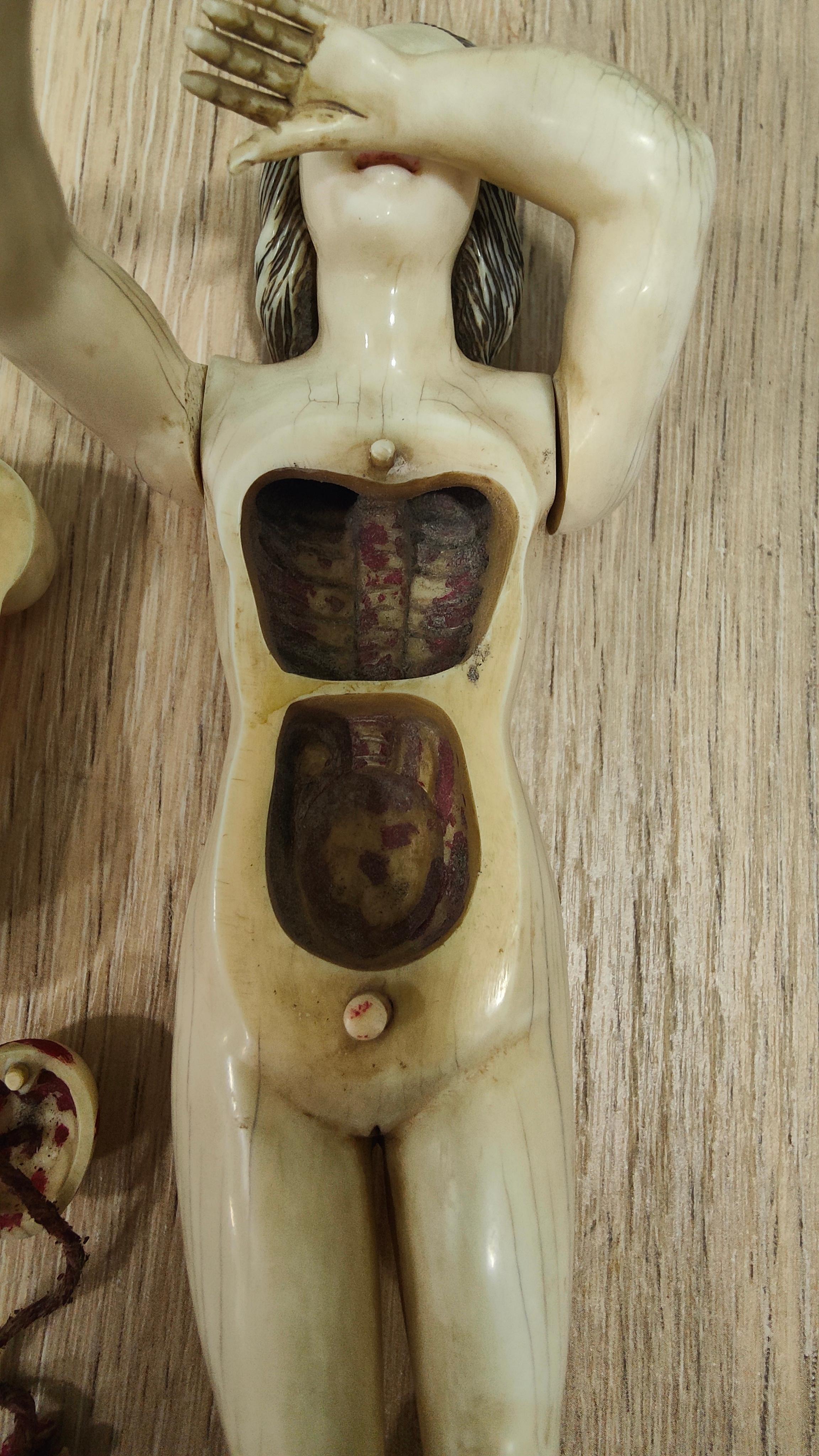 A GERMAN  ANATOMICAL MODEL OF a PREGNANT WOMAN STEPHEN ZICK For Sale 13