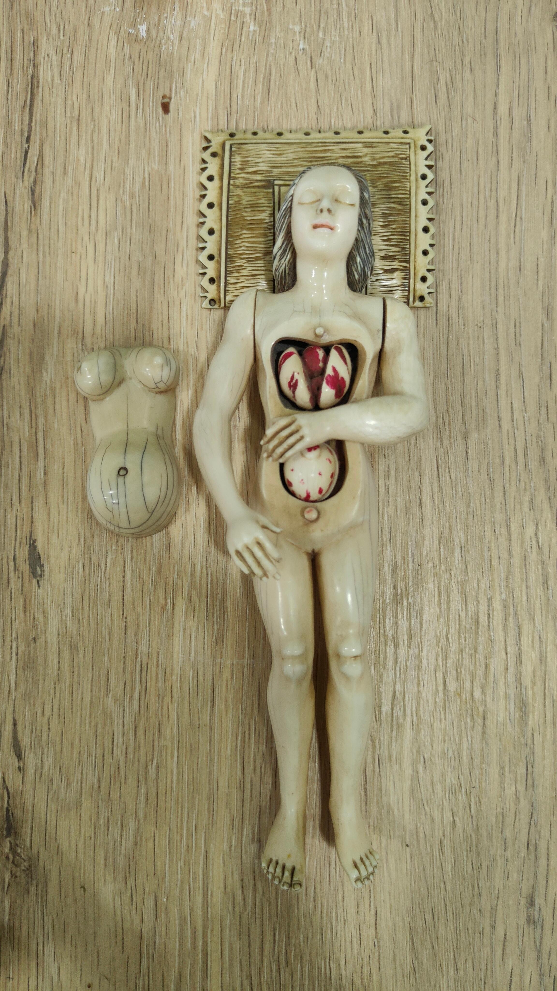 A GERMAN  ANATOMICAL MODEL OF a PREGNANT WOMAN STEPHEN ZICK For Sale 15