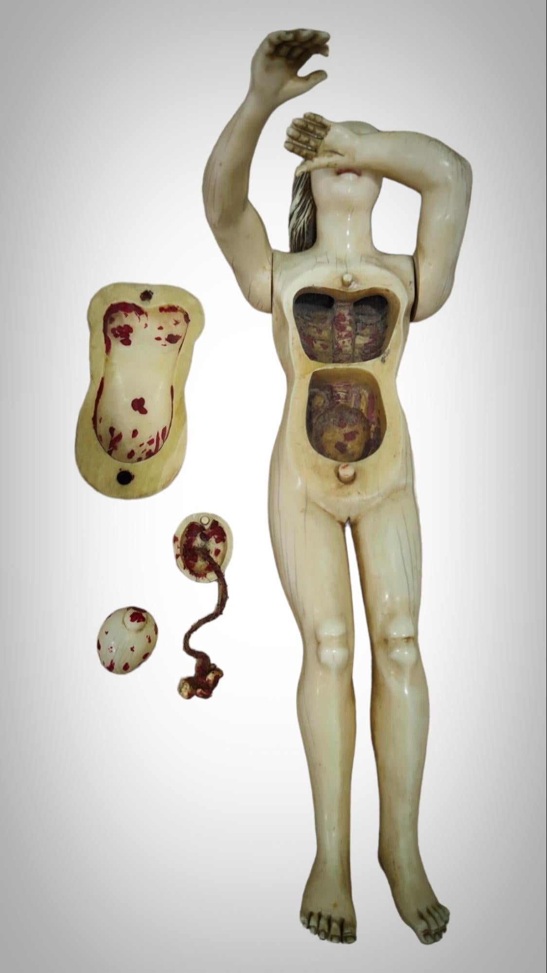 Wood A GERMAN  ANATOMICAL MODEL OF a PREGNANT WOMAN STEPHEN ZICK For Sale
