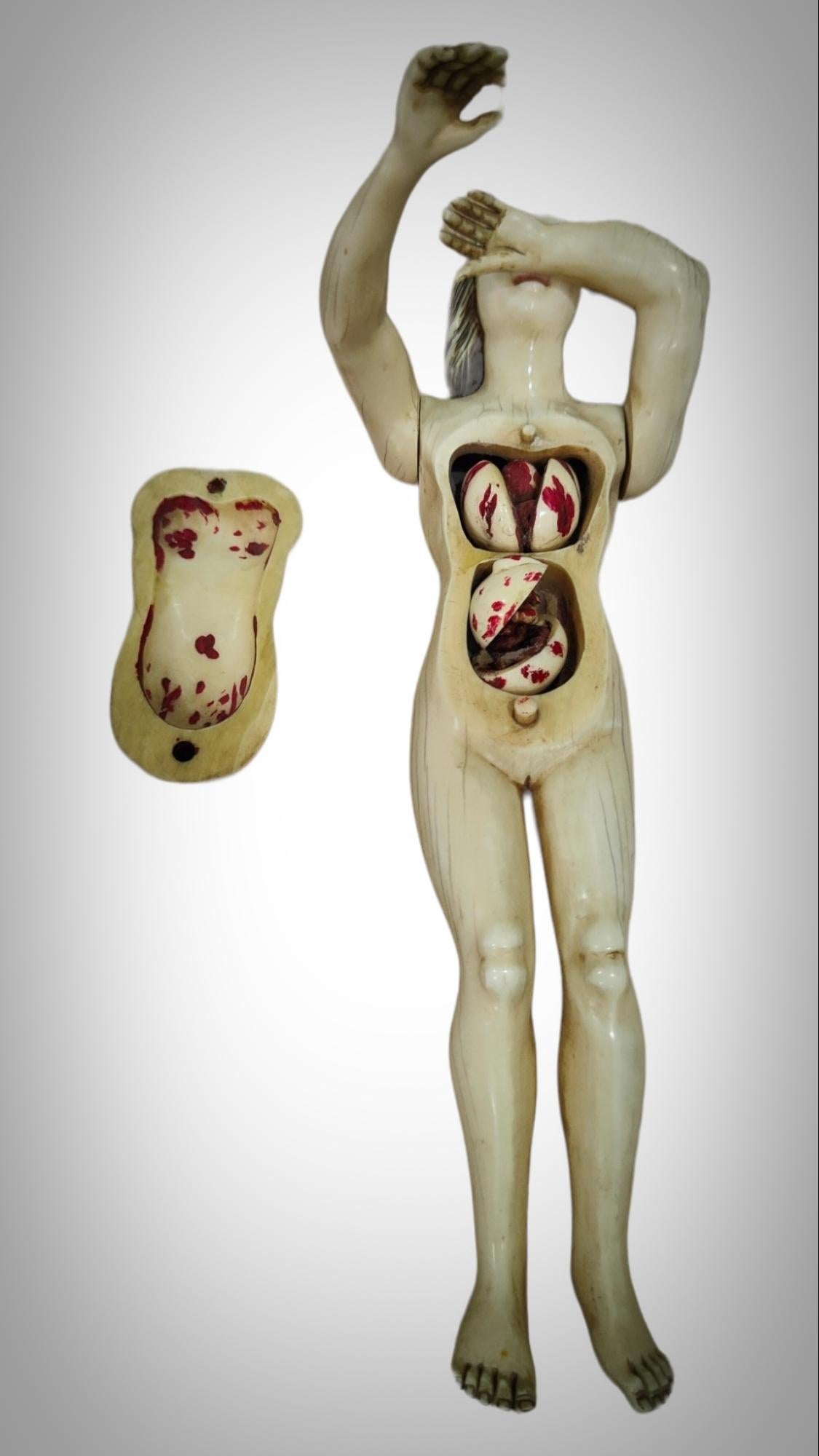 A GERMAN  ANATOMICAL MODEL OF a PREGNANT WOMAN STEPHEN ZICK For Sale 1