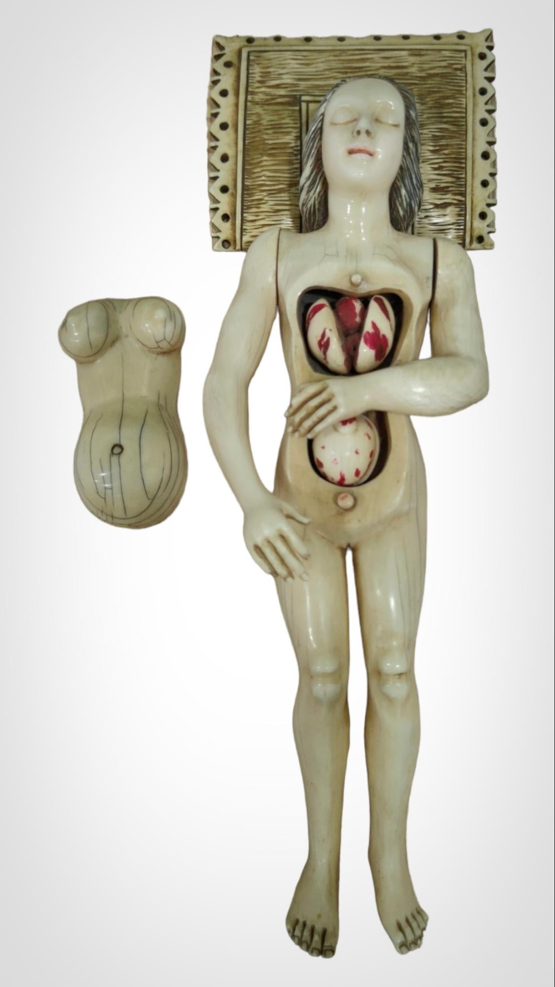 A GERMAN  ANATOMICAL MODEL OF a PREGNANT WOMAN STEPHEN ZICK For Sale 2