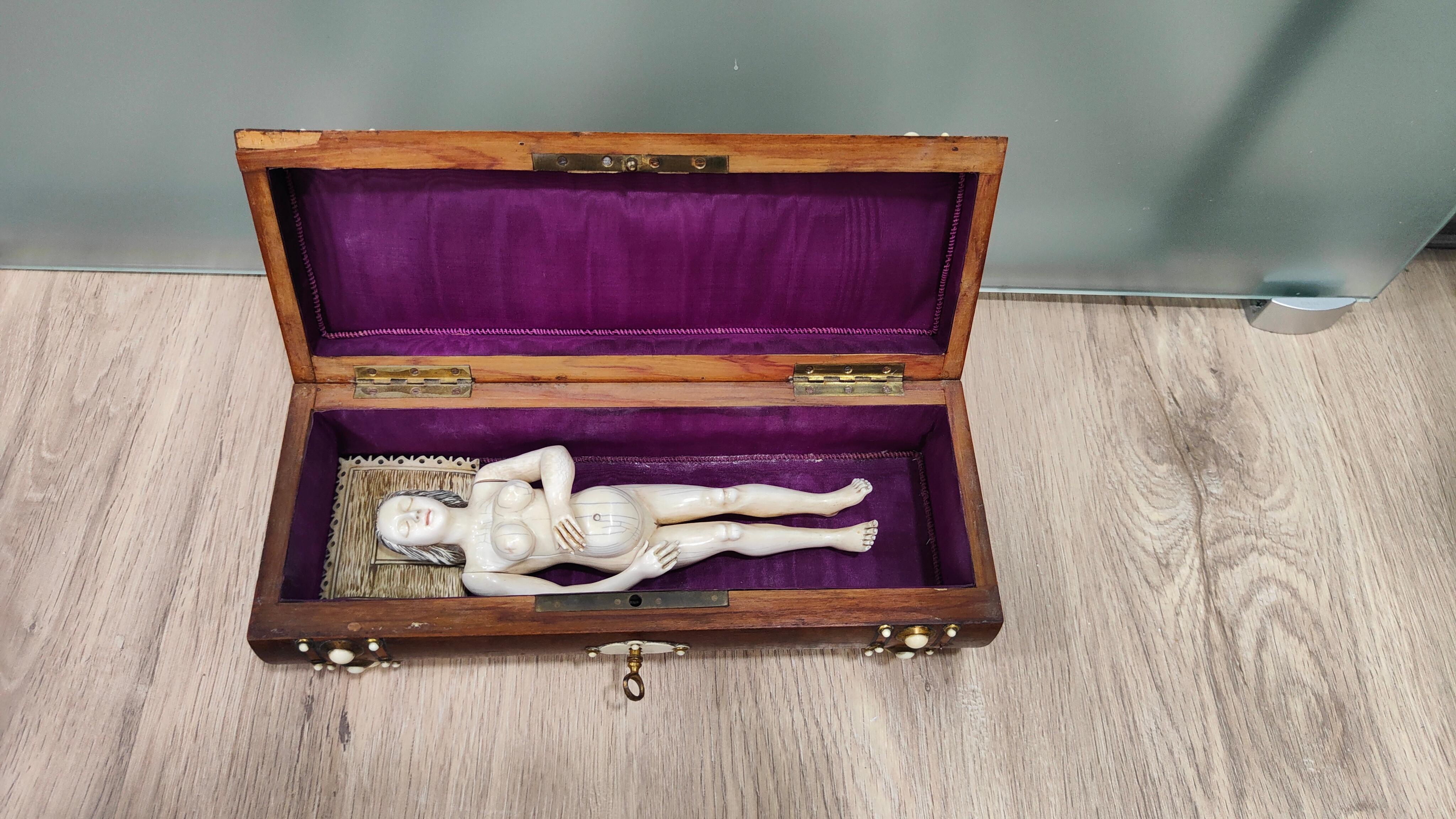 A GERMAN  ANATOMICAL MODEL OF a PREGNANT WOMAN STEPHEN ZICK For Sale 4