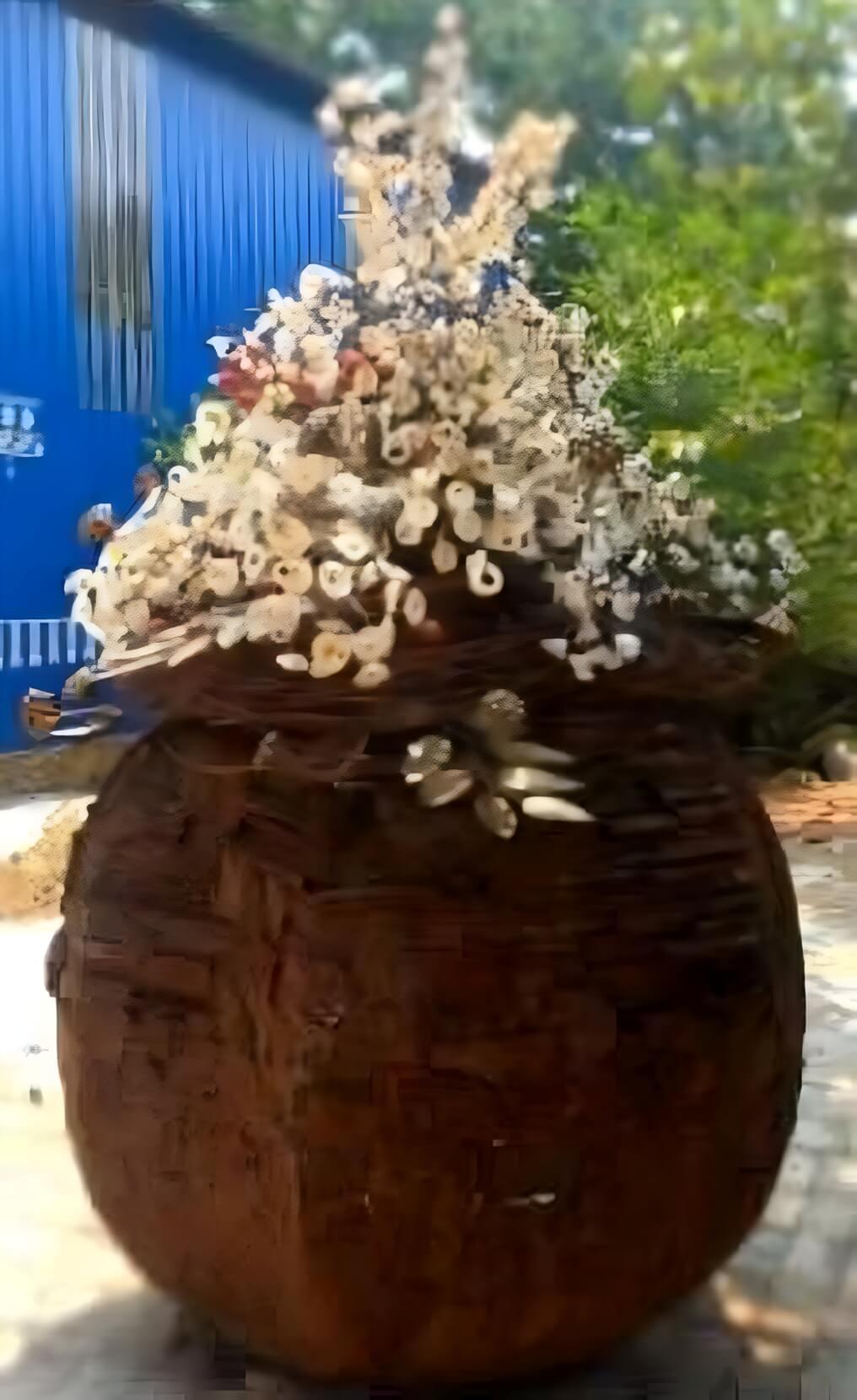 Sin Título, Escultura, Soldadura de Chatarra y Concha por Artista Indio 