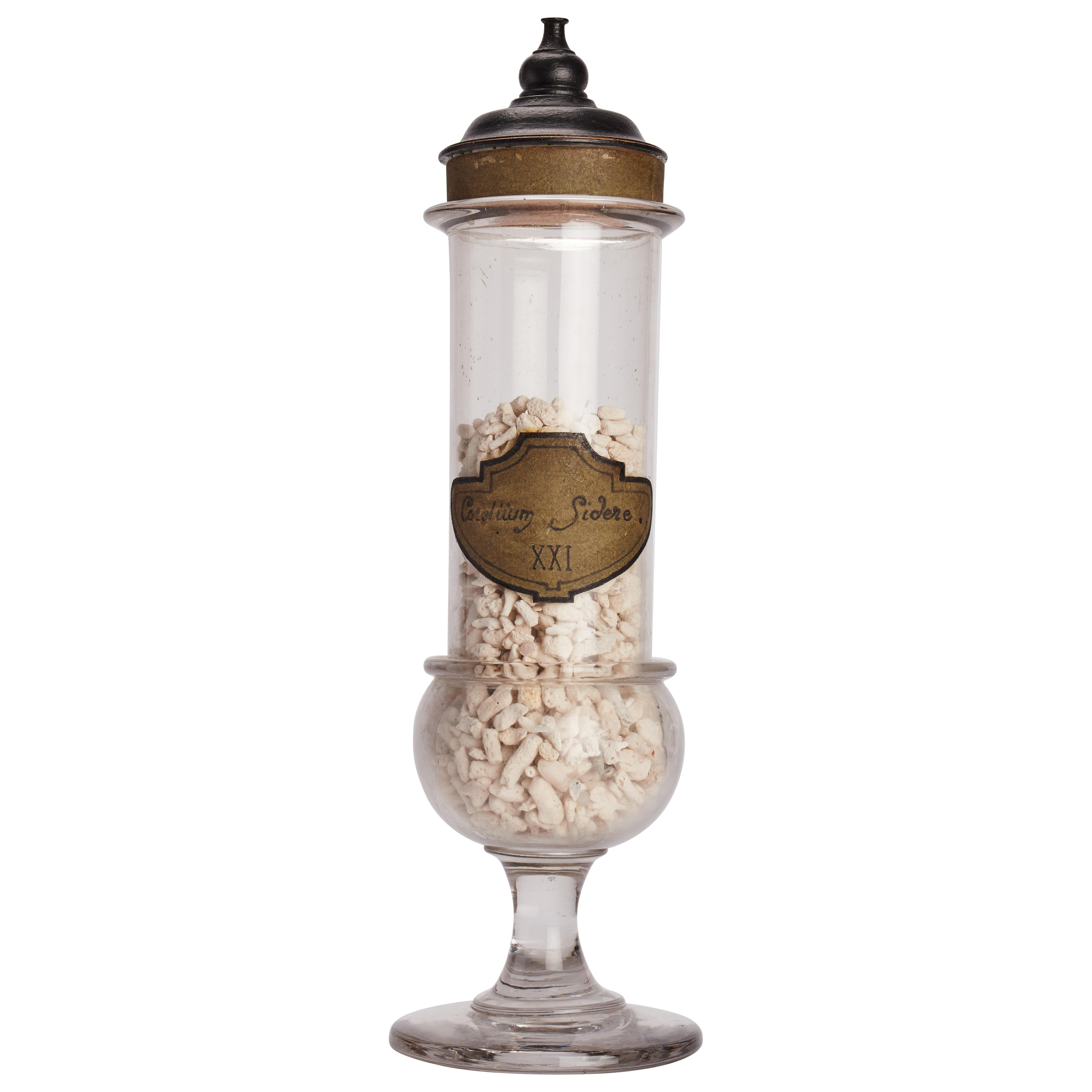 Un'ampolla di vetro con corallium sidere, Francia 1870. in vendita