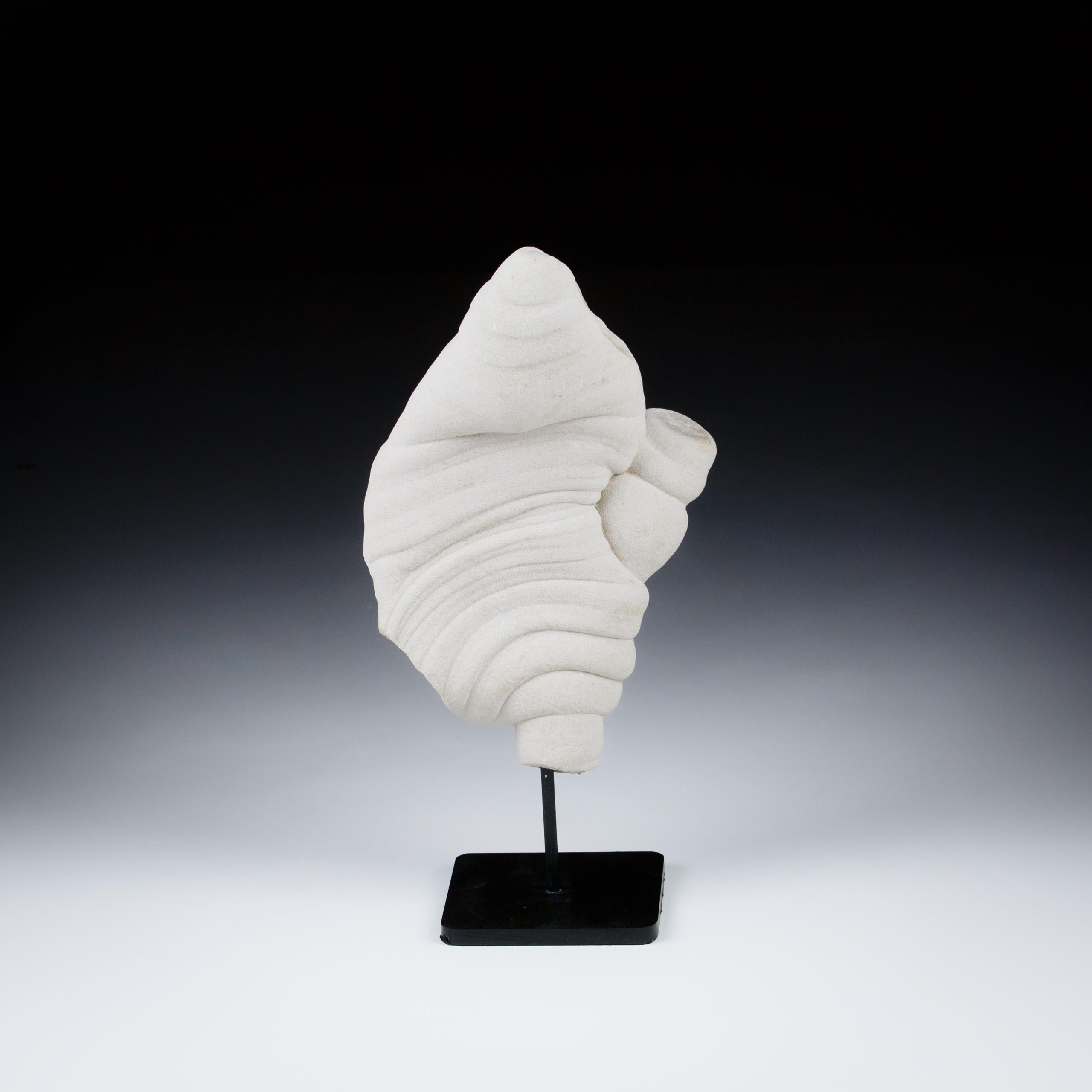 Una formazione Gogotte - La mano Fontainbleau, Francia Periodo Oligocenico Misurazione Inc. Le gogottes sono formazioni minerali bellissime e affascinanti. Sono rari e del tutto naturali, frutto del legame tra carbonato di calcio e grani di quarzo
