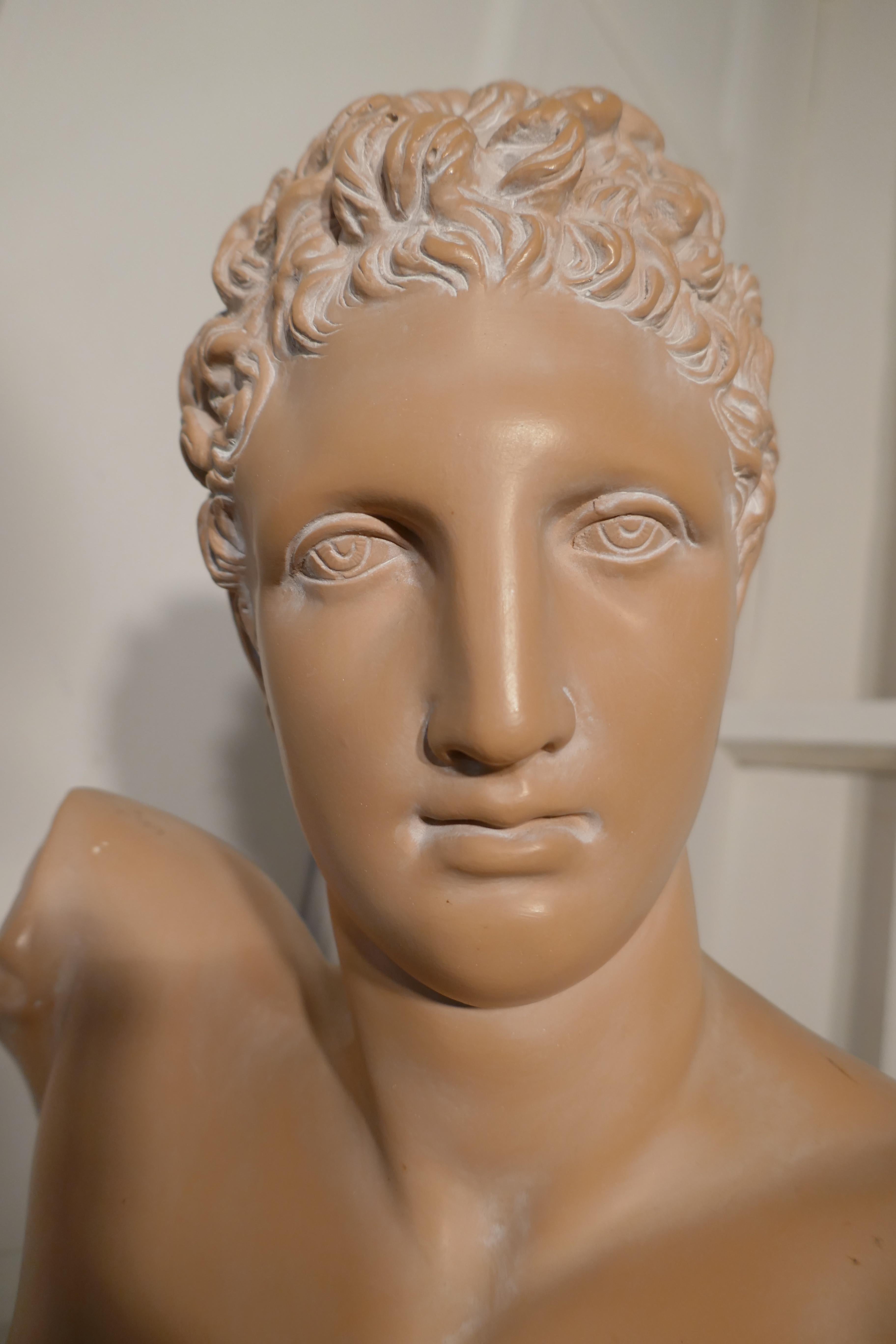 A good large bust of the God Hermes

A good large bust of the God Hermes, this is a very good ceramic bust, it is in flesh color and has a mat finish

The statue is 21” High and 14” across and 7” deep 
JF34.