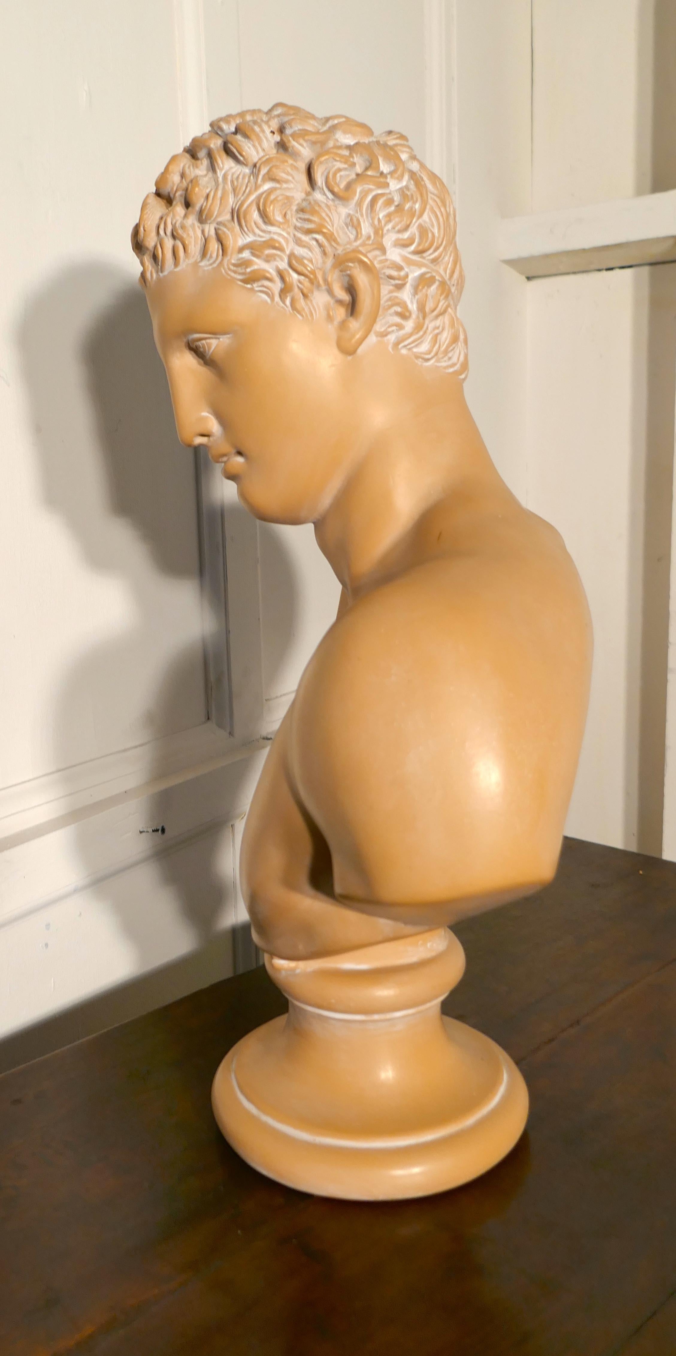 hermes bust