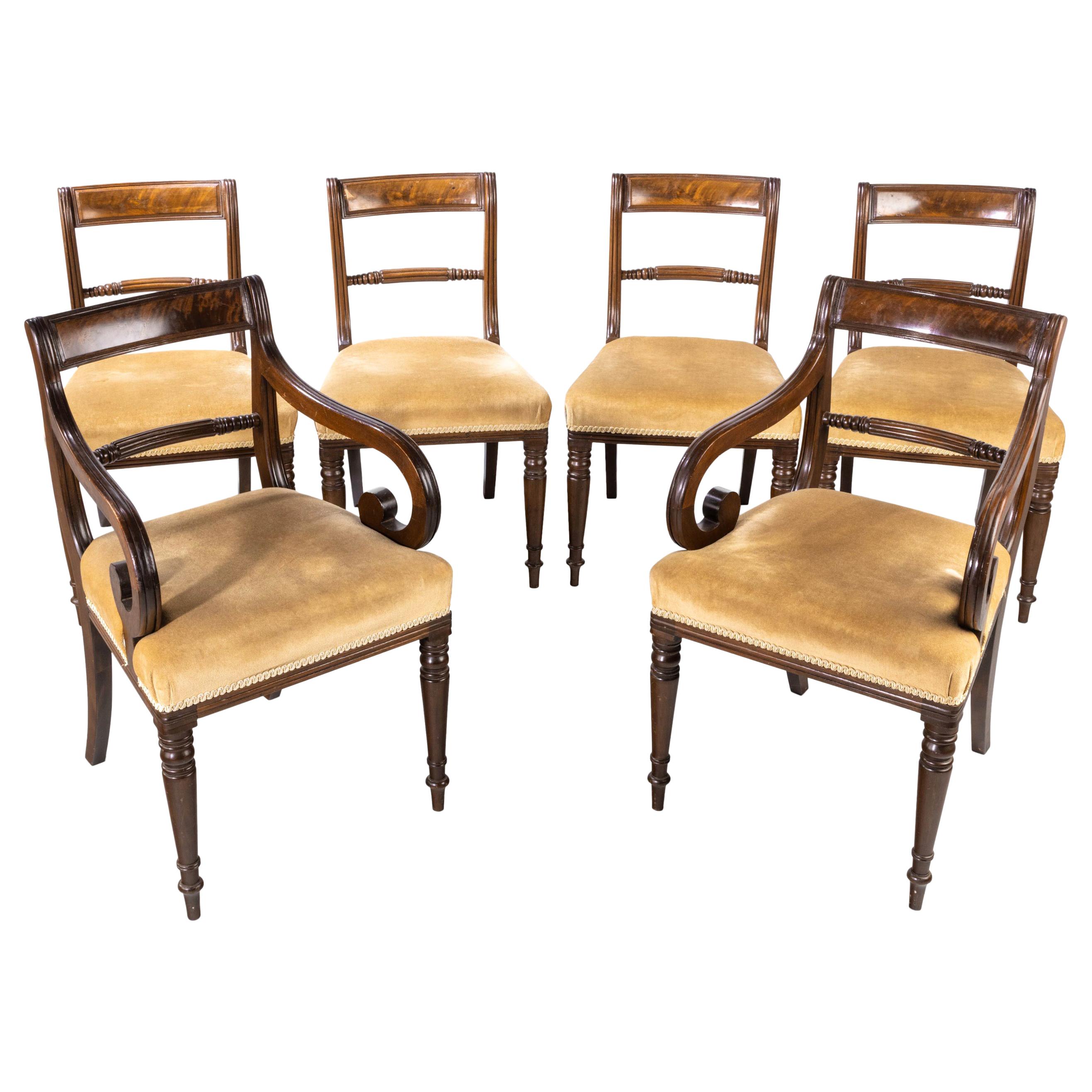 Good Set of Regency Period 4+2 Mahogany Framed Chairs