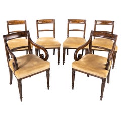 Good Set of Regency Period 4+2 Mahogany Framed Chairs
