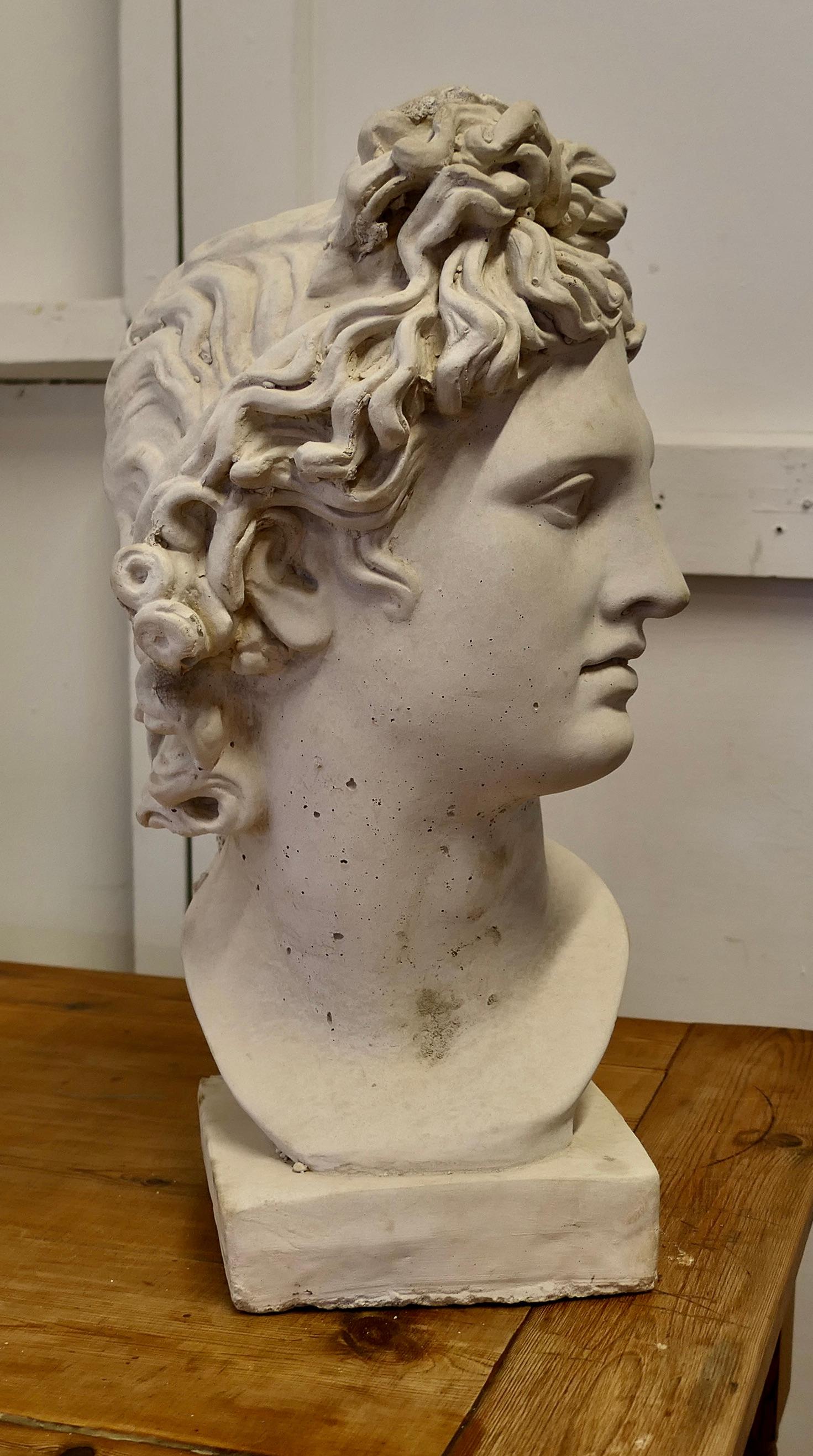 Un bon grand buste d'Apollo légèrement usé par les intempéries  C'est un beau buste Bon état - En vente à Godshill, Isle of Wight