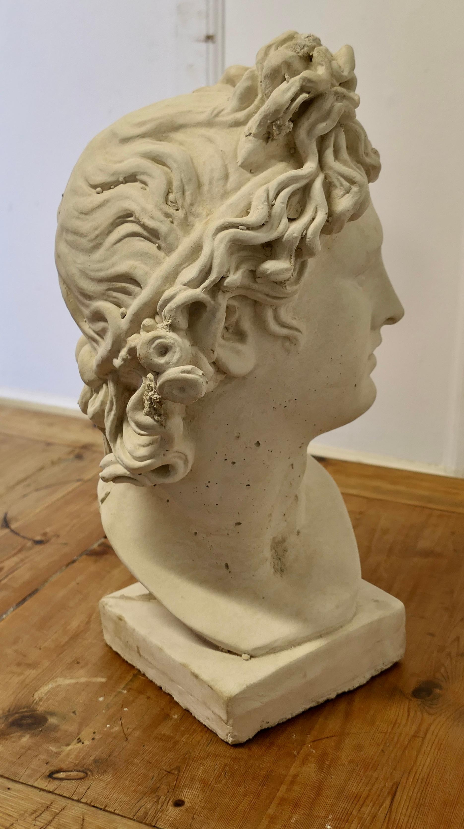 Milieu du XXe siècle Un bon grand buste d'Apollo légèrement usé par les intempéries  C'est un beau buste en vente