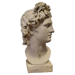 Un buen busto de Apolo de gran tamaño ligeramente erosionado  Este busto tiene buena pinta