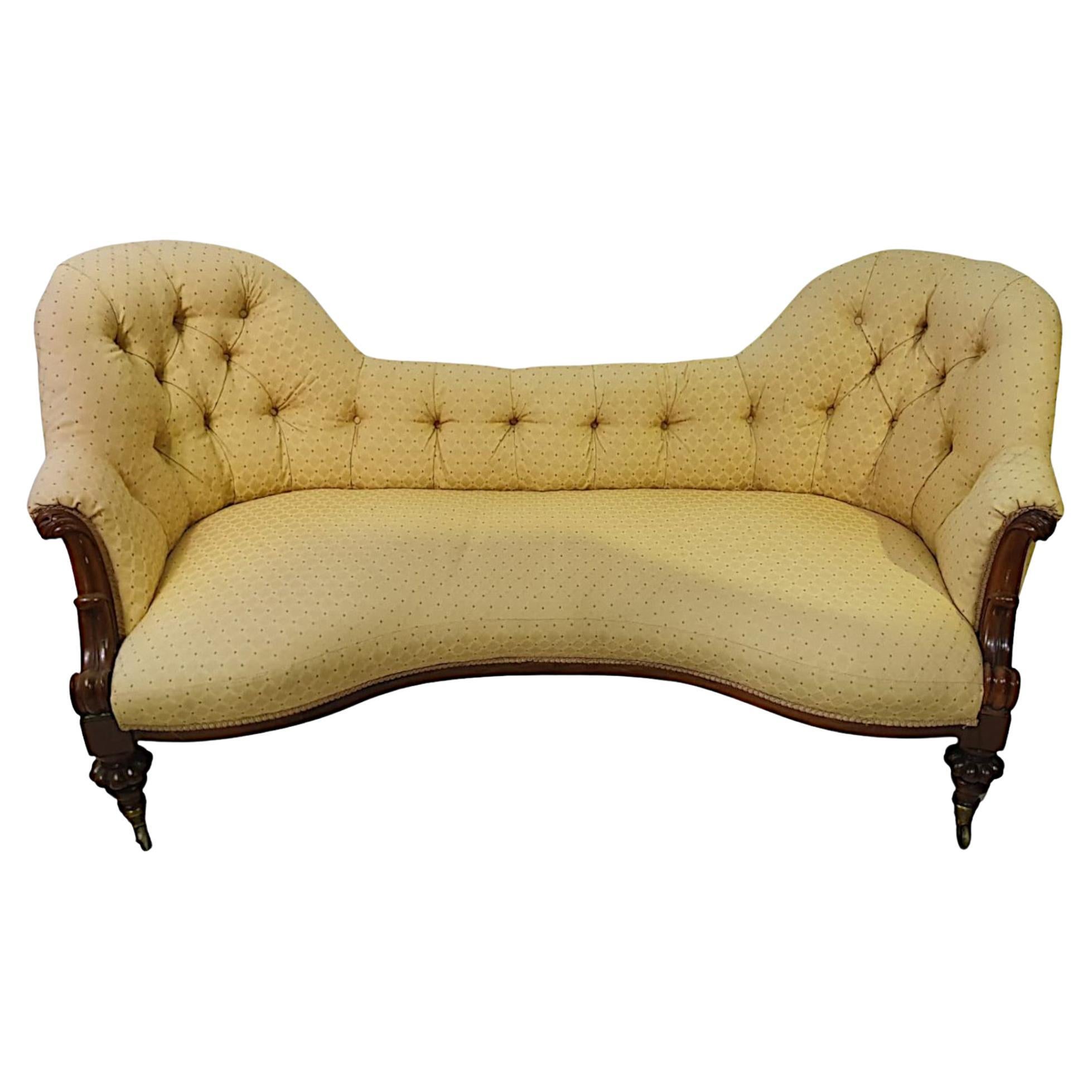 Gorgeous 19th Century Humpback Settee For Sale