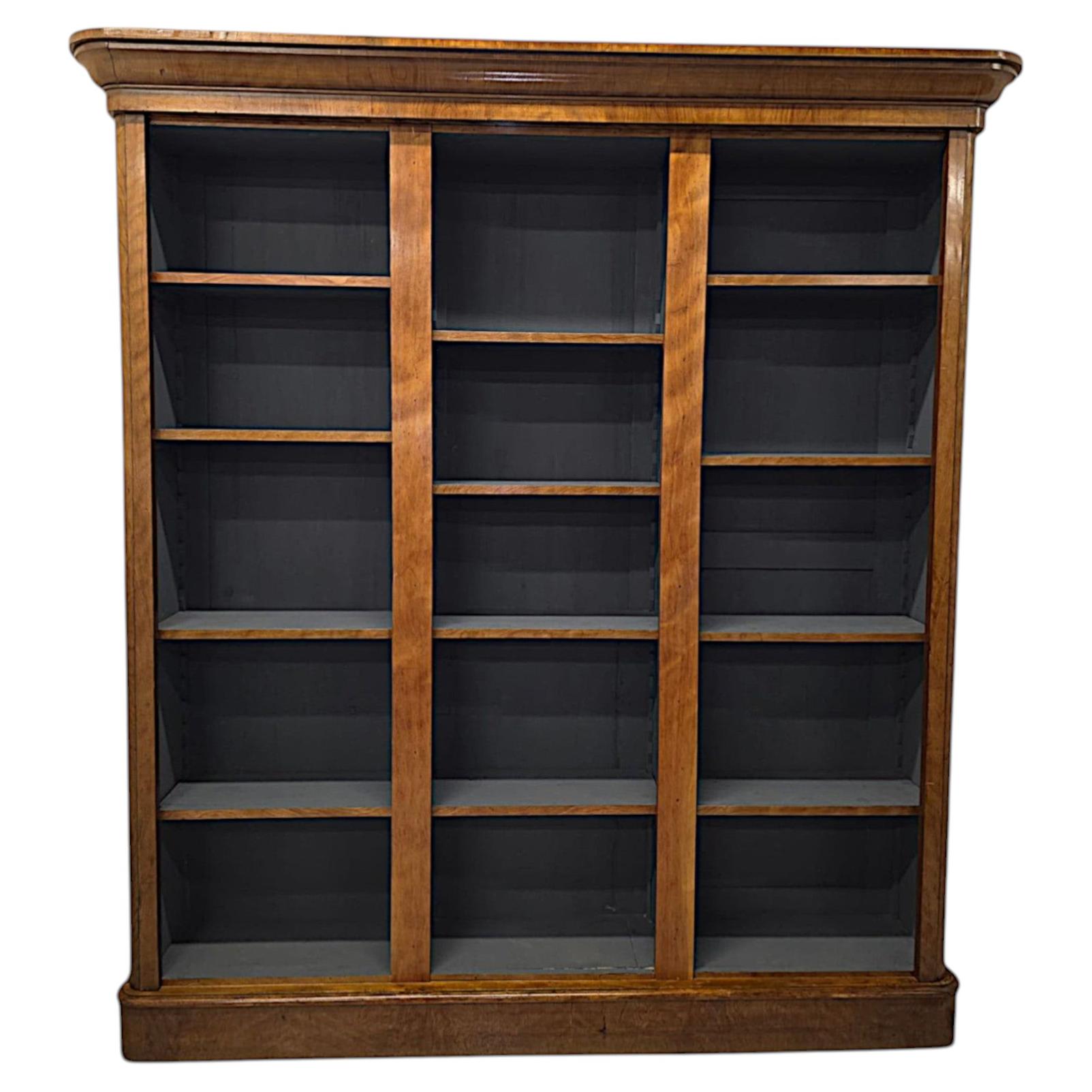 A Gorgeous 19th Century Satinwood Open Bookcase