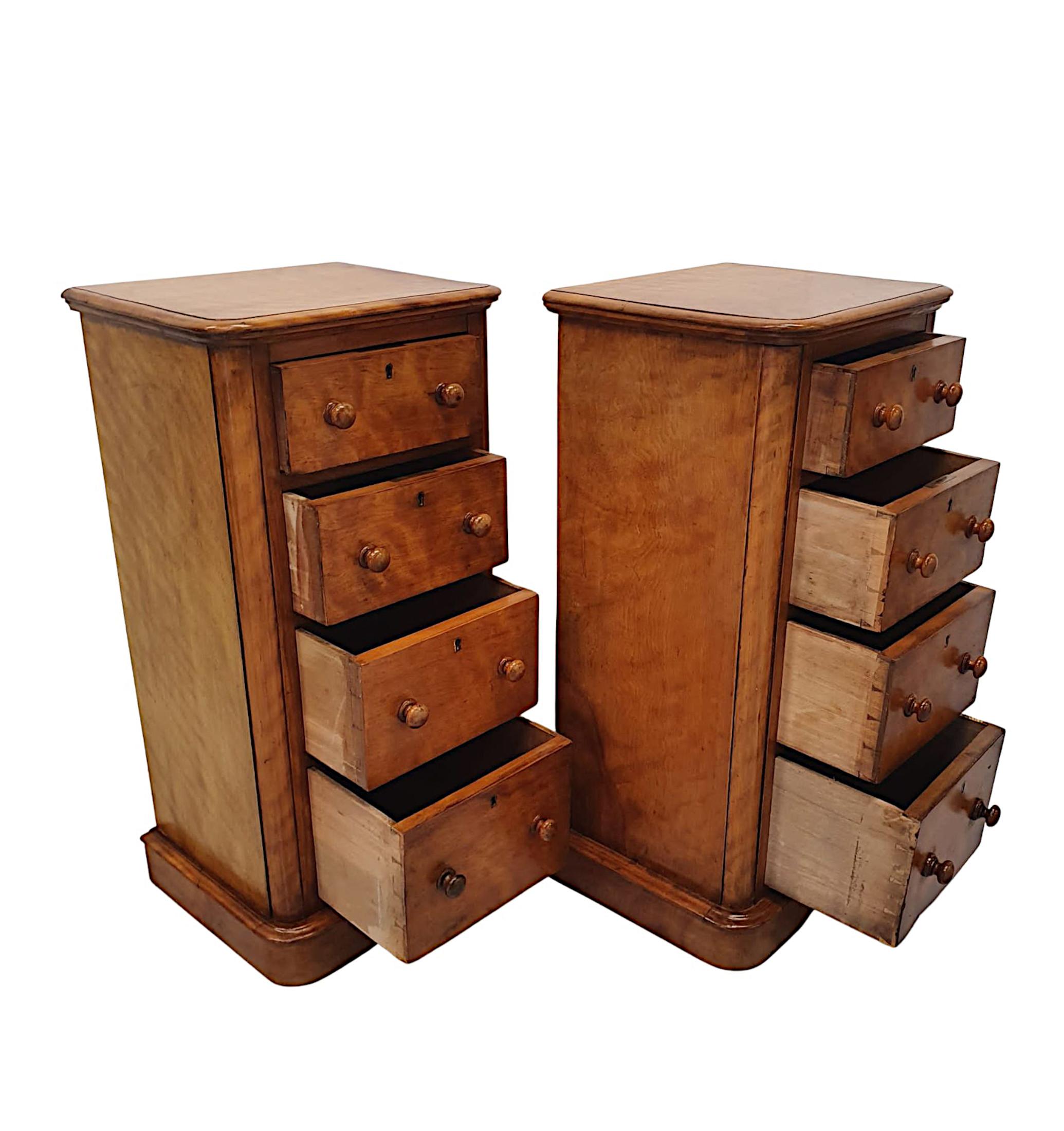 Gorgeous Pair of 19th Century Bedside Chests In Good Condition In Dublin, IE