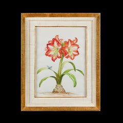 Amaryllis Gouache Painting with Butterfly, England, Circa 1950, Signed