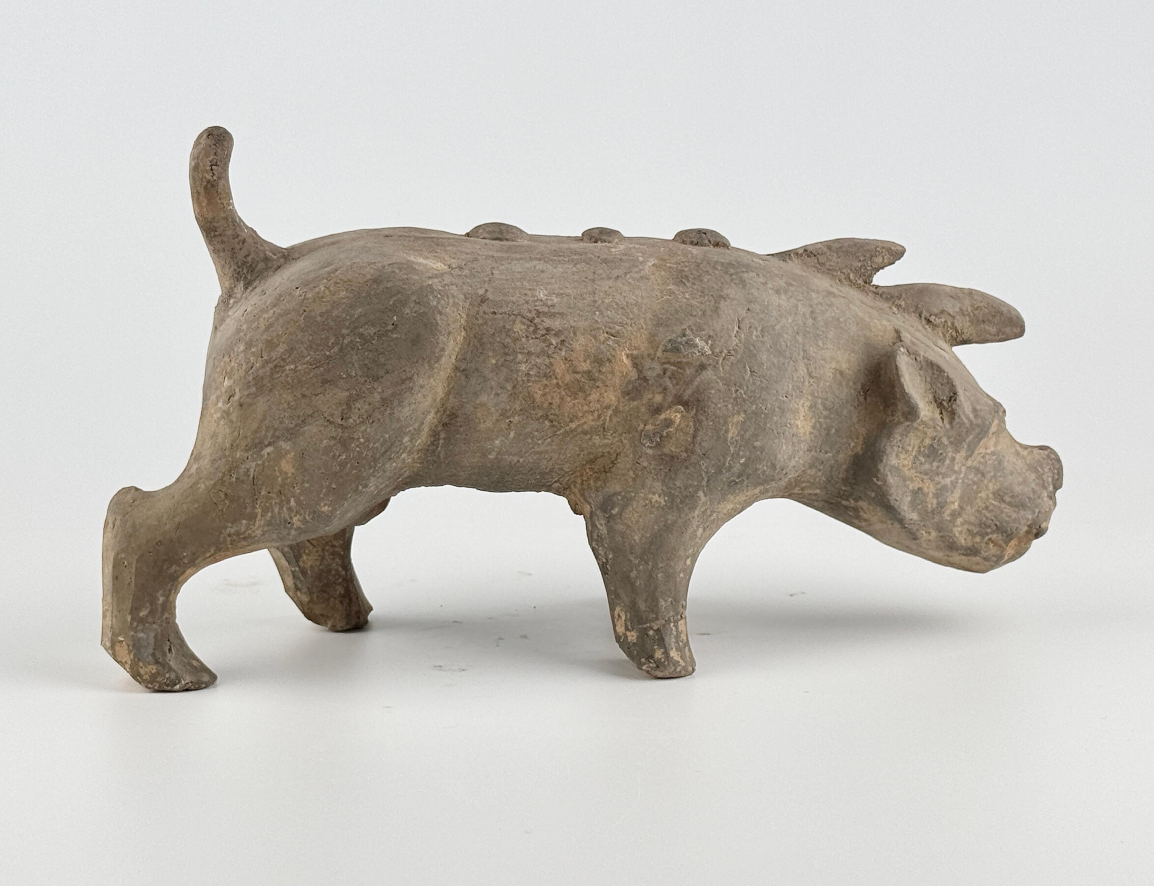 This piece is an ancient terracotta animal sculpture in the form of a pig, rendered in a simple yet vivid manner. The pig stands firmly on four stout legs, with a short and solidly modeled body. Its face is realistically depicted, and a series of