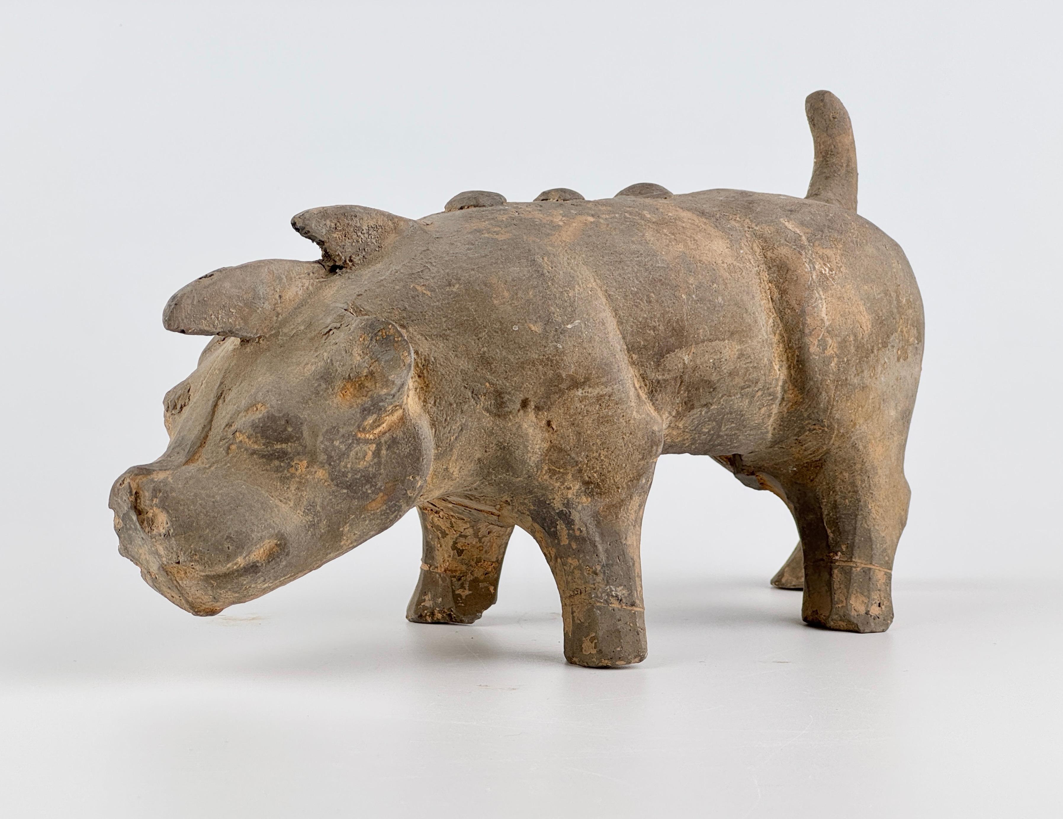 Hong Kong A Grey Pottery Figure of Boar(Wild Pig), Han Dynasty For Sale