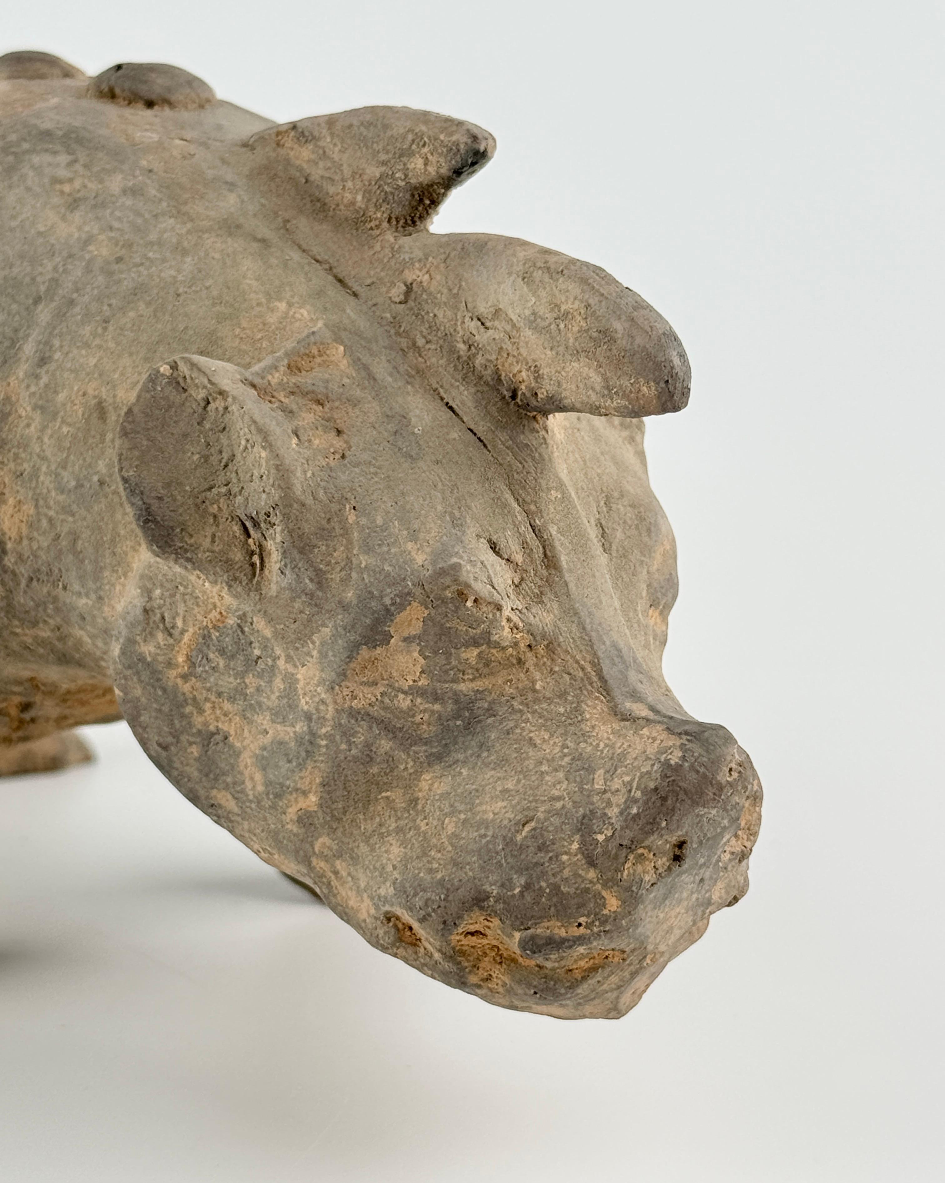 A Grey Pottery Figure of Boar(Wild Pig), Han Dynasty In Good Condition For Sale In seoul, KR
