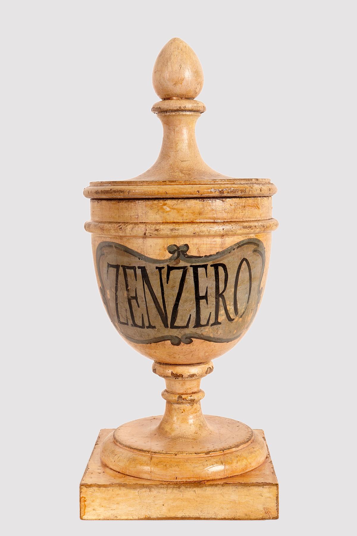 Late 19th Century Group of 9 Herbalist Pharmacy Wooden Jars, Italy 1870