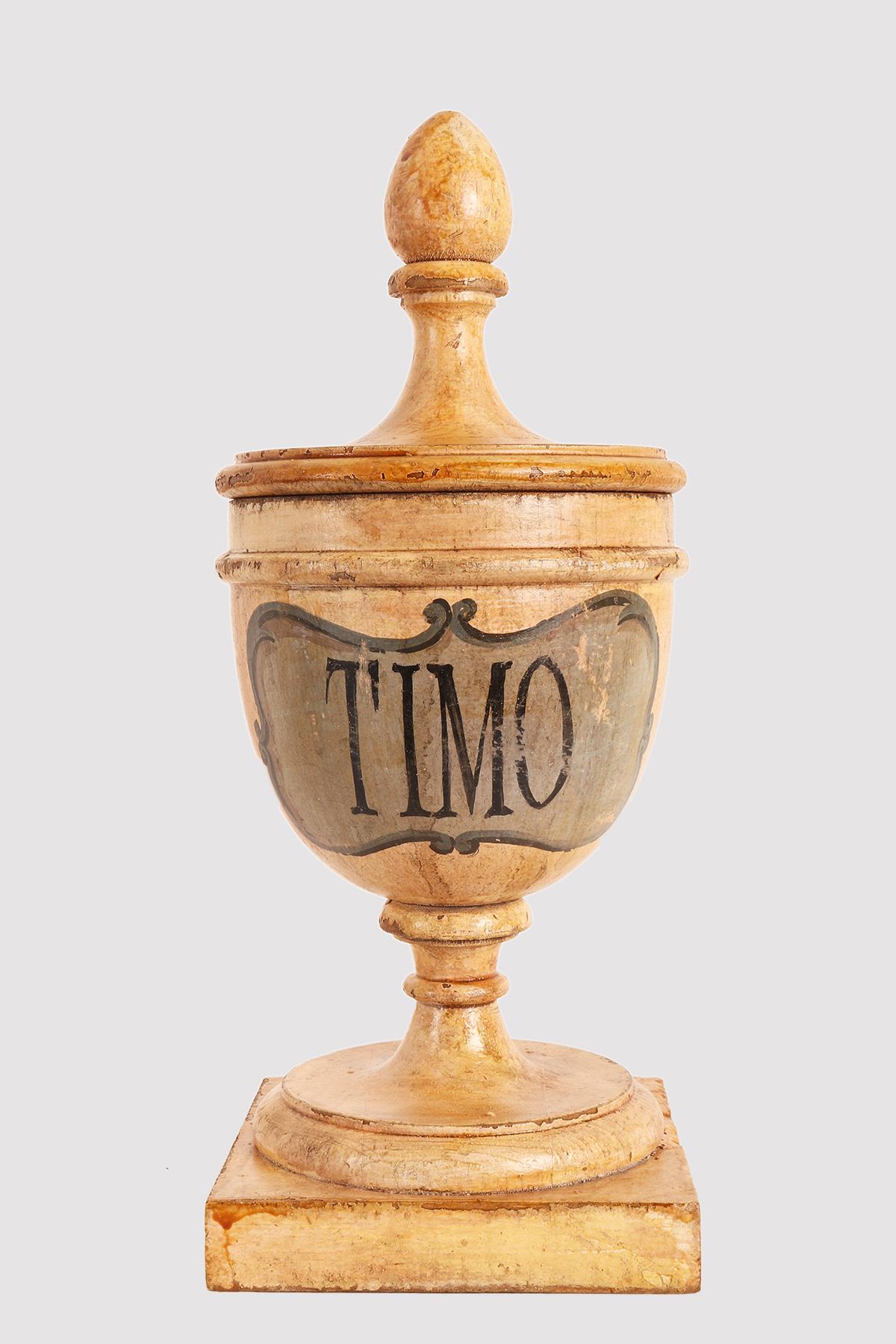Mid-19th Century Group of 9 Herbalist Pharmacy Wooden Jars, Italy 1870