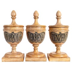 Group of 12 Herbalist Pharmacy Wooden Jars, Italy 1870