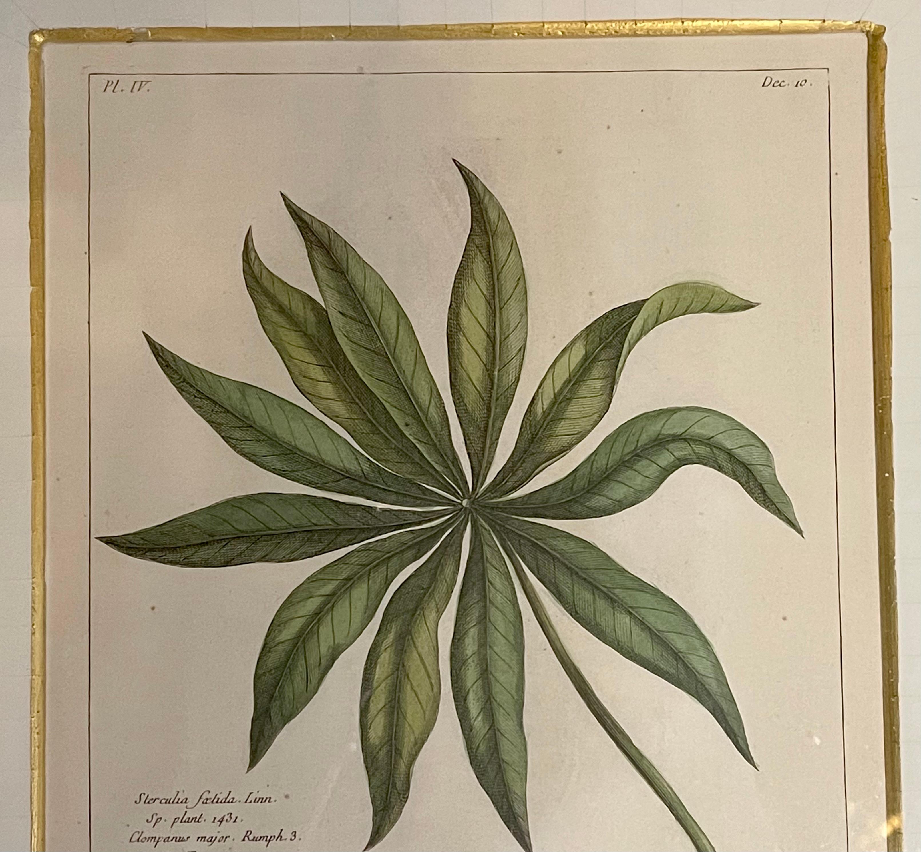 Group of Four Finely Matted and Framed Original Hand Colored Engravings 3