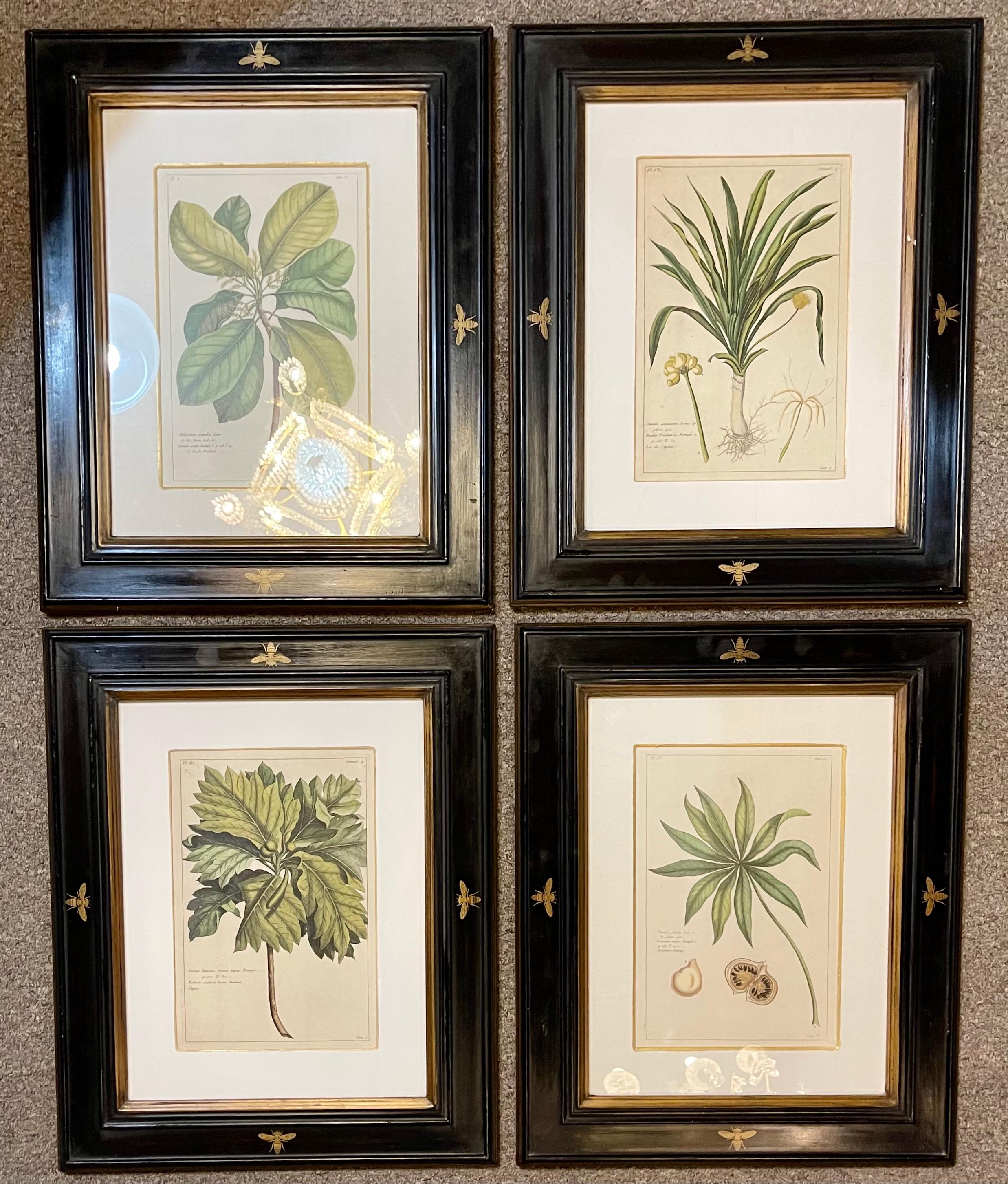 A group of four finely matted and framed original hand colored engravings of flower and fruits.
Pierre Joseph Buchoz - Le Regne Vegetale. Custom towbridge frames.