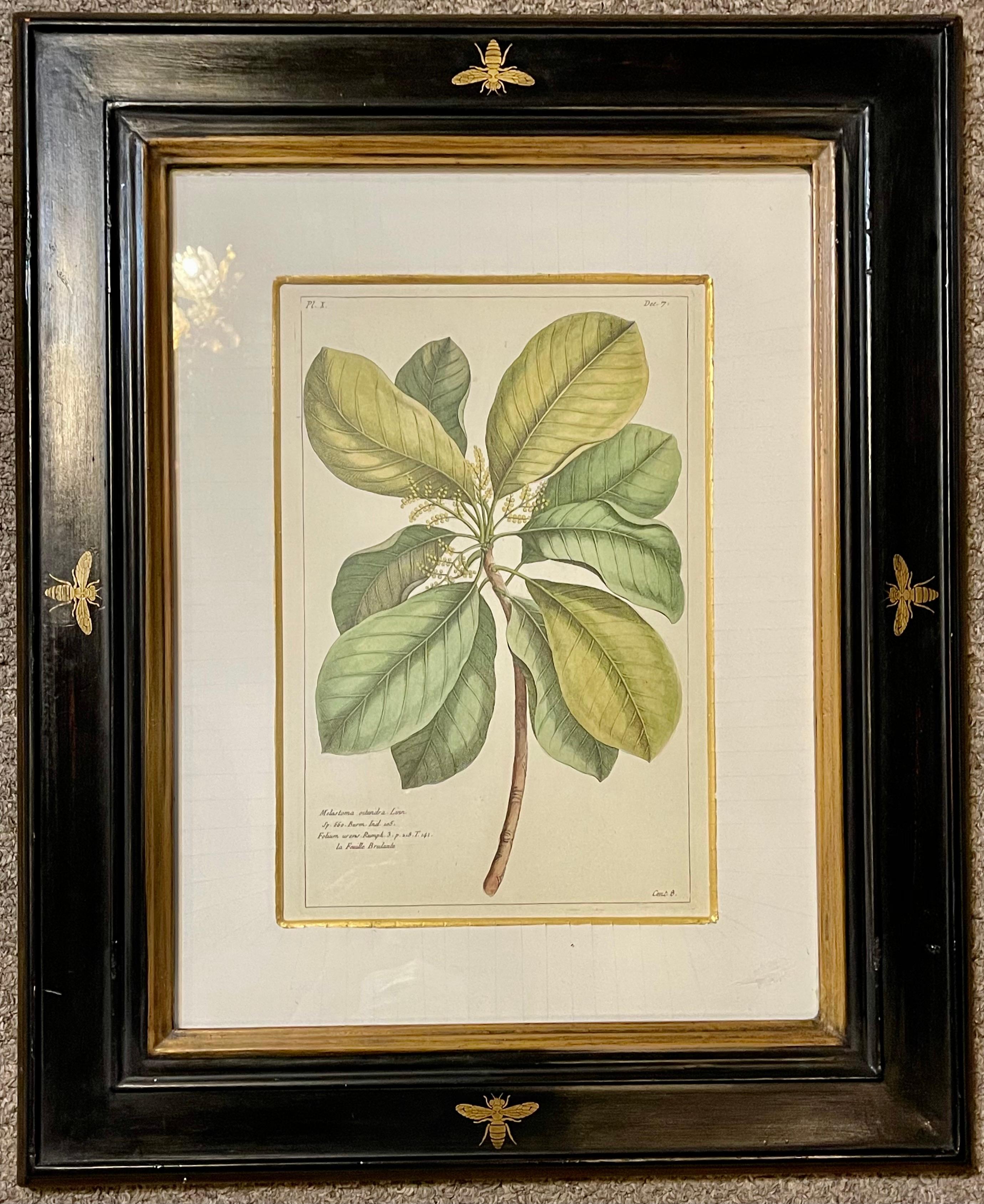 Other Group of Four Finely Matted and Framed Original Hand Colored Engravings