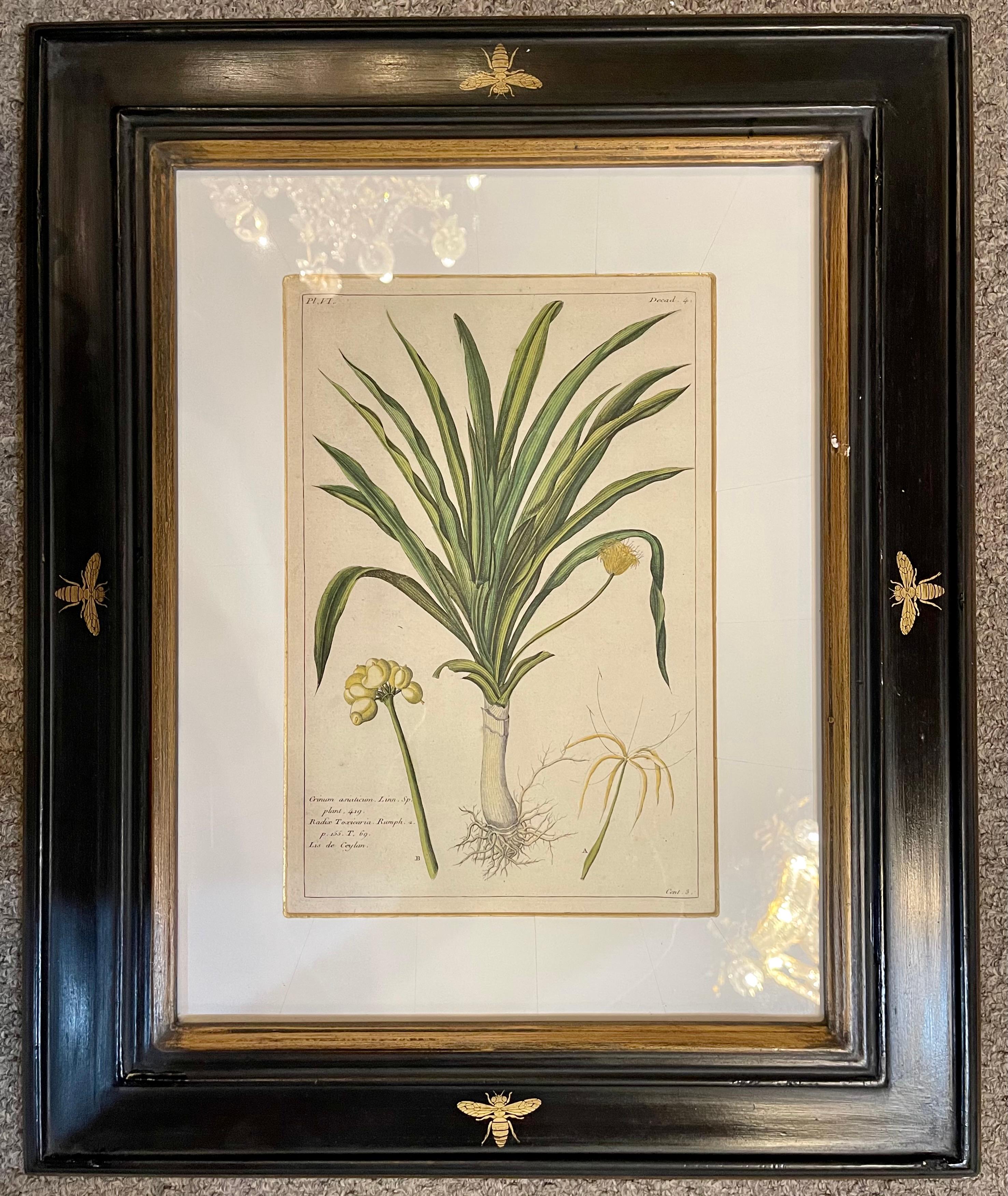 Group of Four Finely Matted and Framed Original Hand Colored Engravings In Good Condition In Manhasset, NY