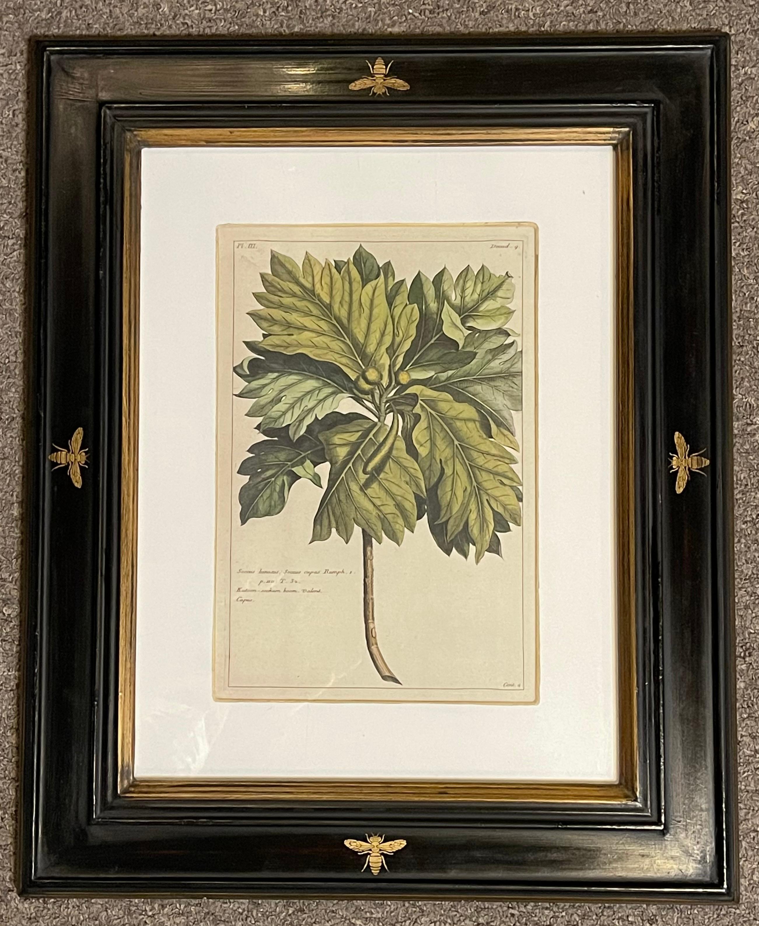 20th Century Group of Four Finely Matted and Framed Original Hand Colored Engravings