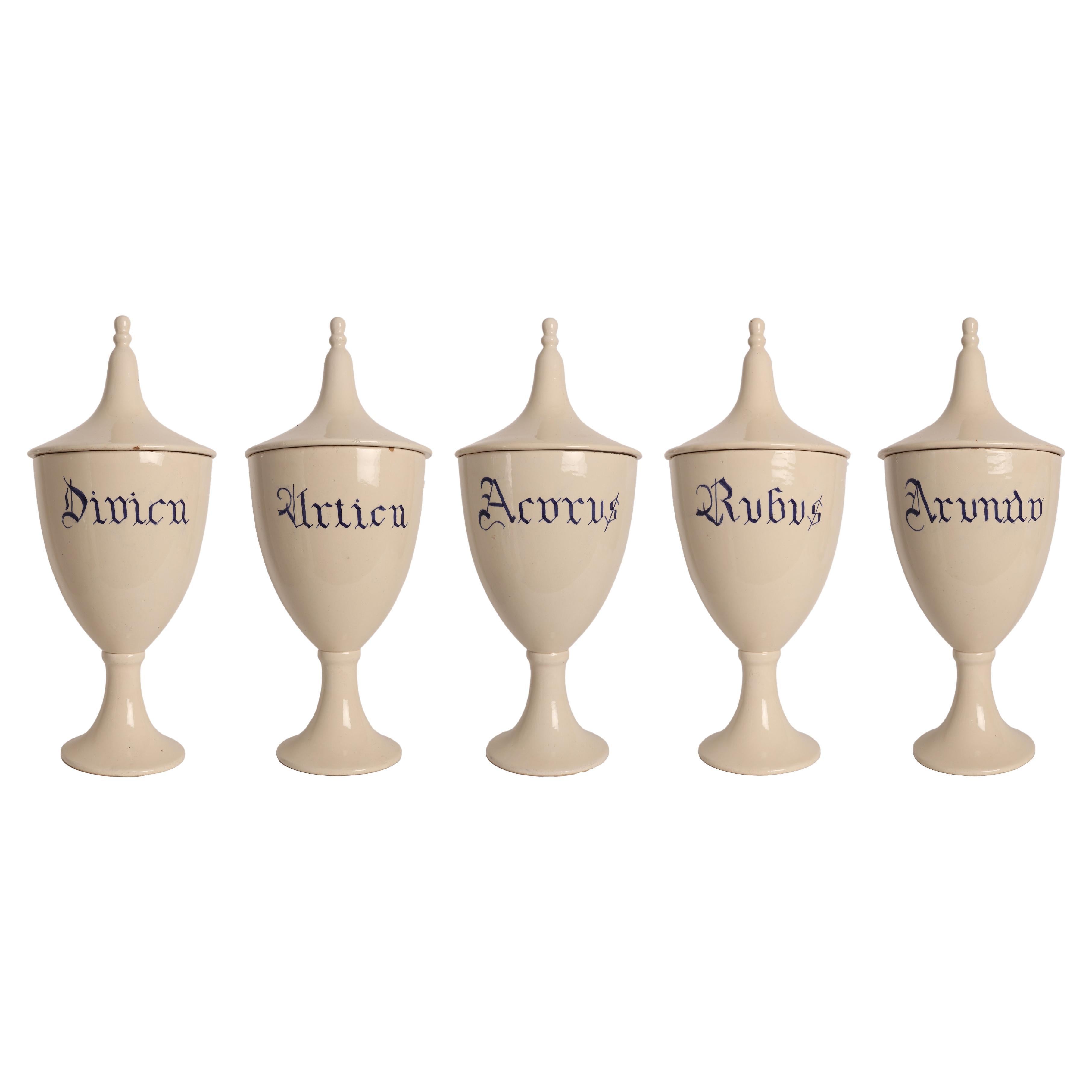 Group of Herbalist Pharmacy Ceramic Jars, Italy, 1890 For Sale