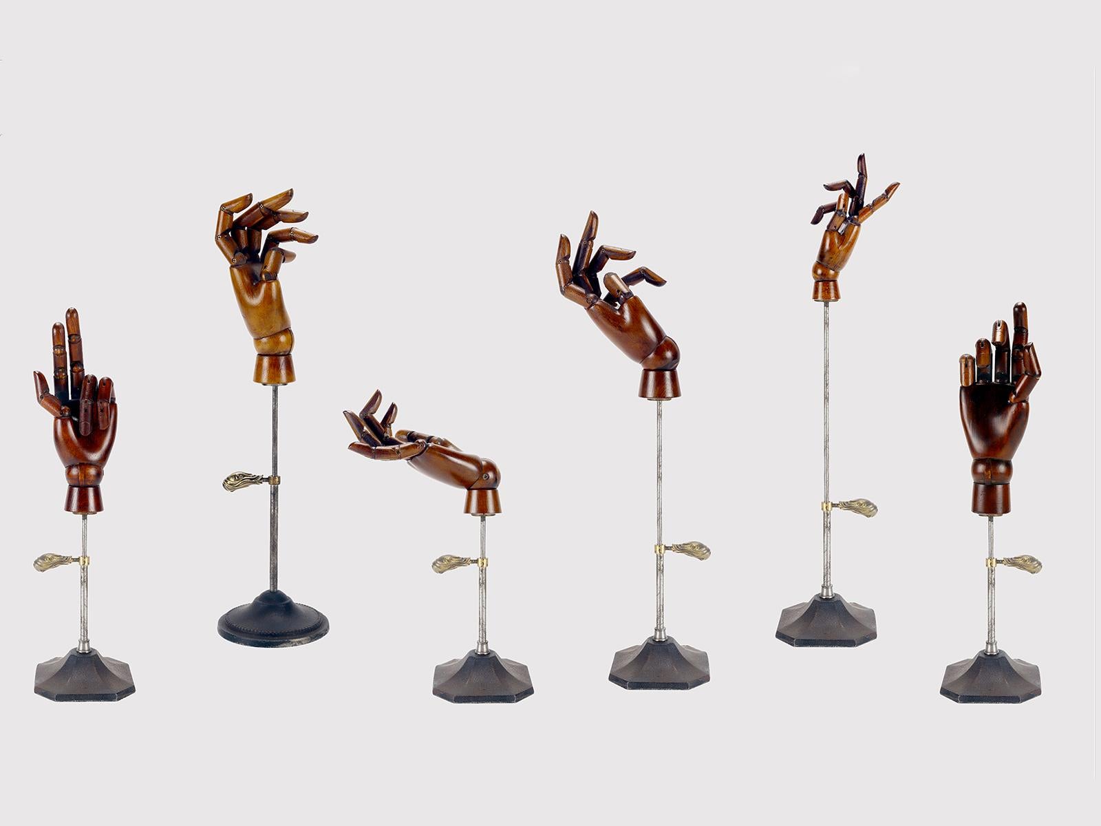 A group of six samples of articulated hands for dummies, made in various types of wood: national walnut, chestnut, maple. Mounted on bases, made of cast iron, iron and brass for the locking elements. The patina varies. One of the bases is circular,